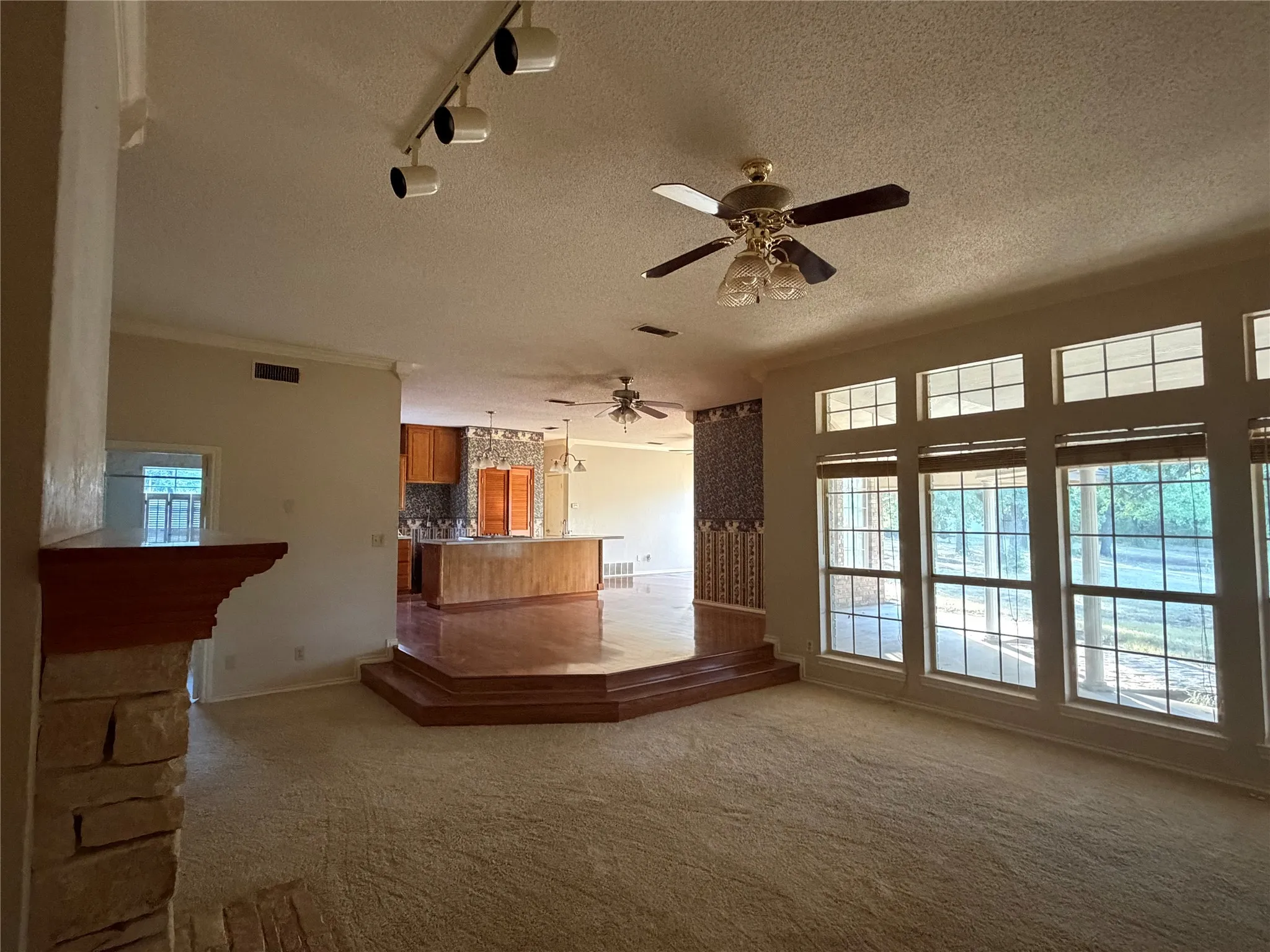 Open concept living area with carpet flooring, track lighting, and a ceiling fan