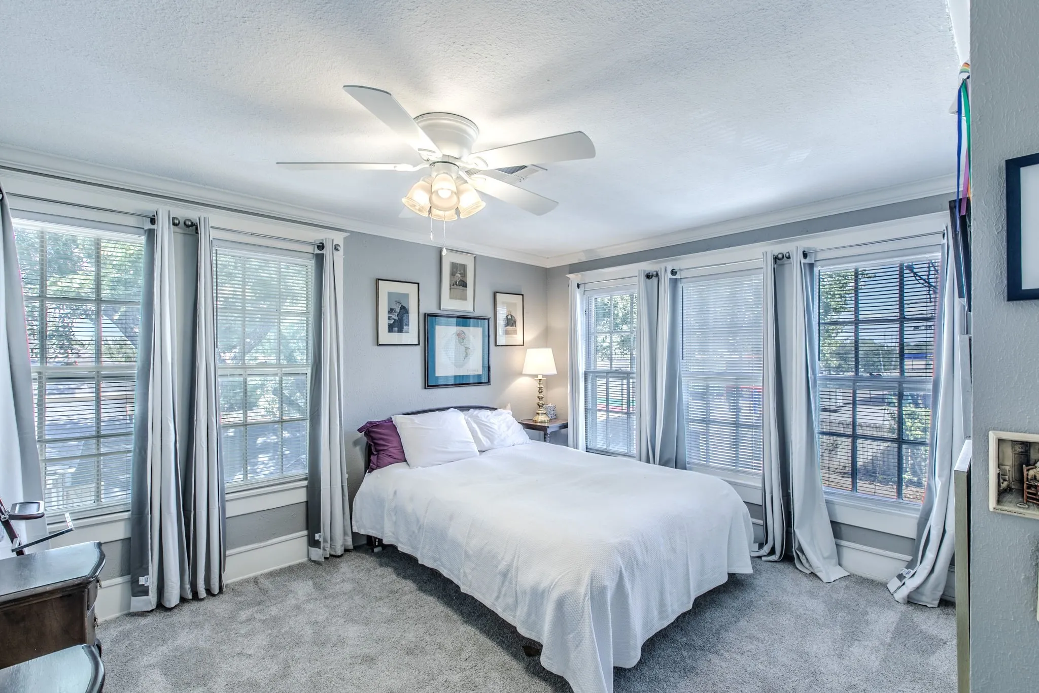 Carpeted flooring, crown molding, and multiple windows with blinds