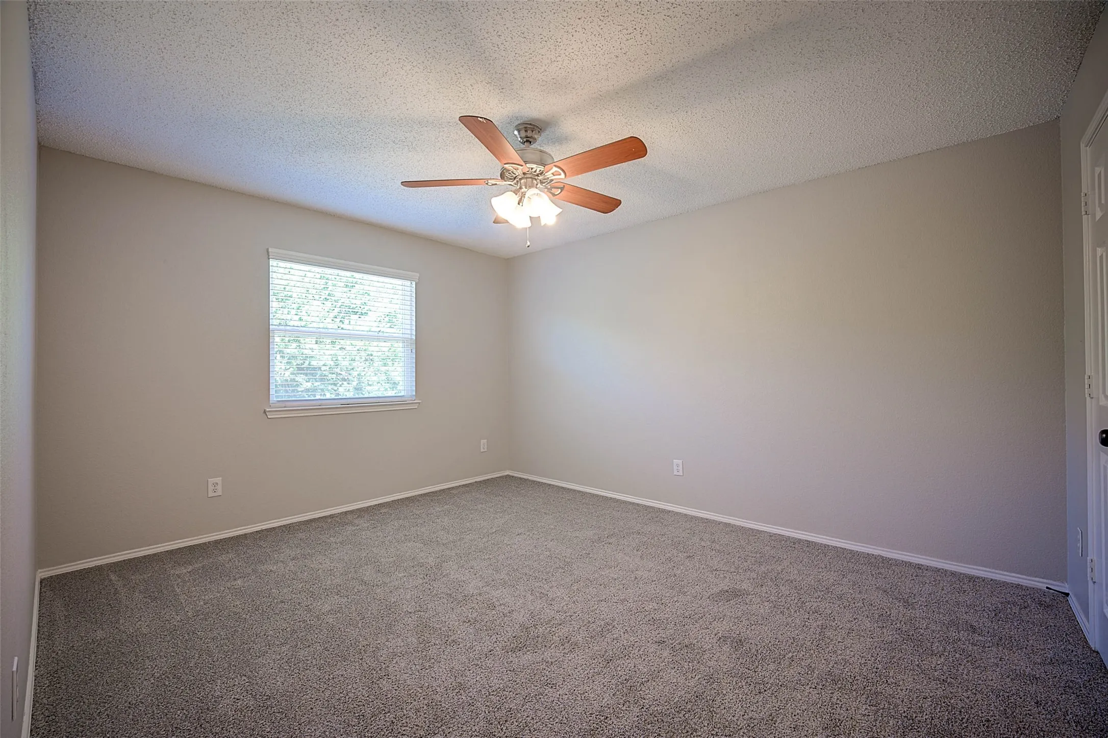 Neutral wall tones, textured ceiling, window with blinds, ceiling fan with light fixture, and plush carpeting