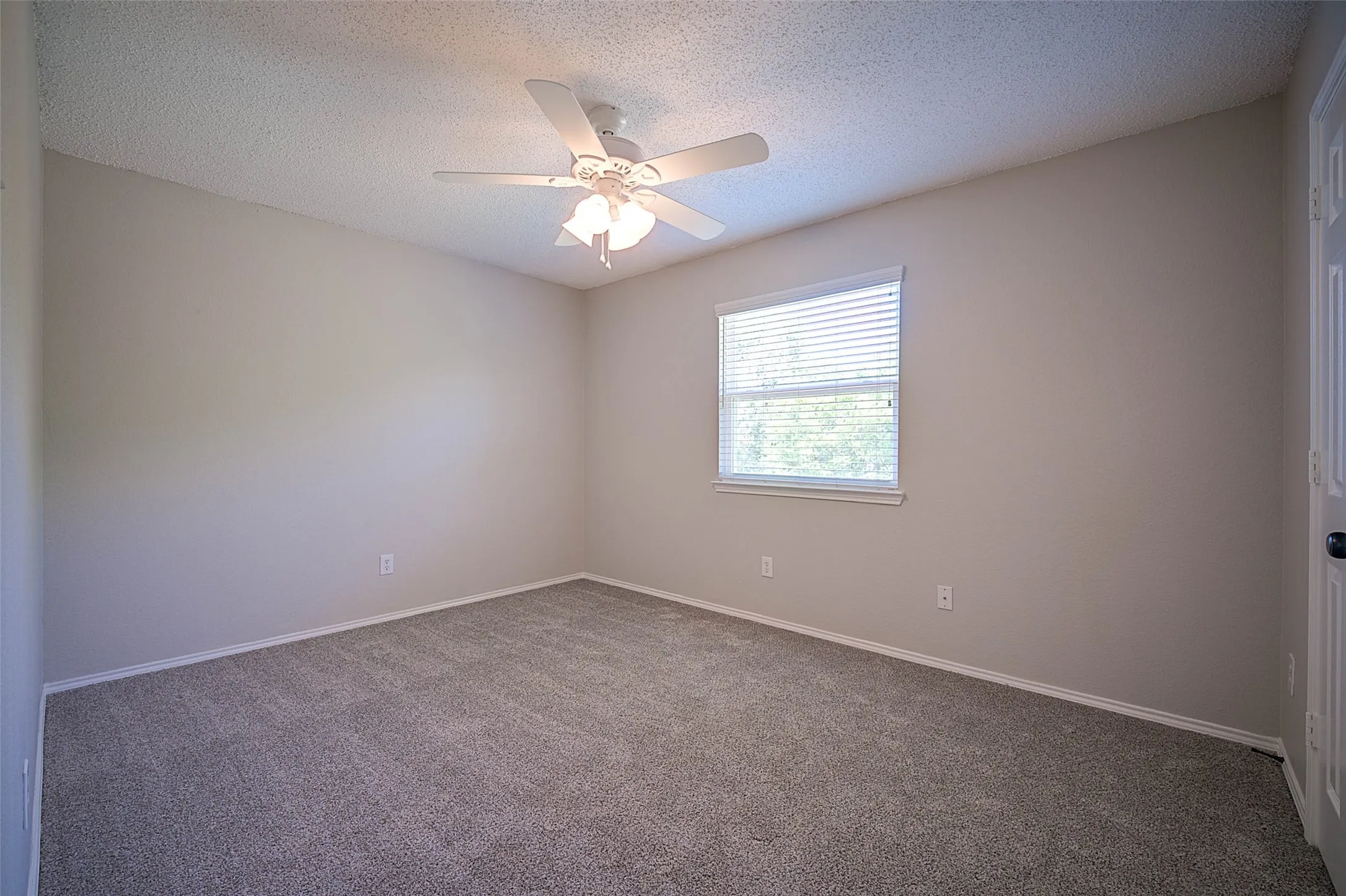 Expansive room featuring neutral wall tones, textured ceiling, a ceiling fan with integrated lighting, a window with horizontal blinds, and grey carpet flooring
