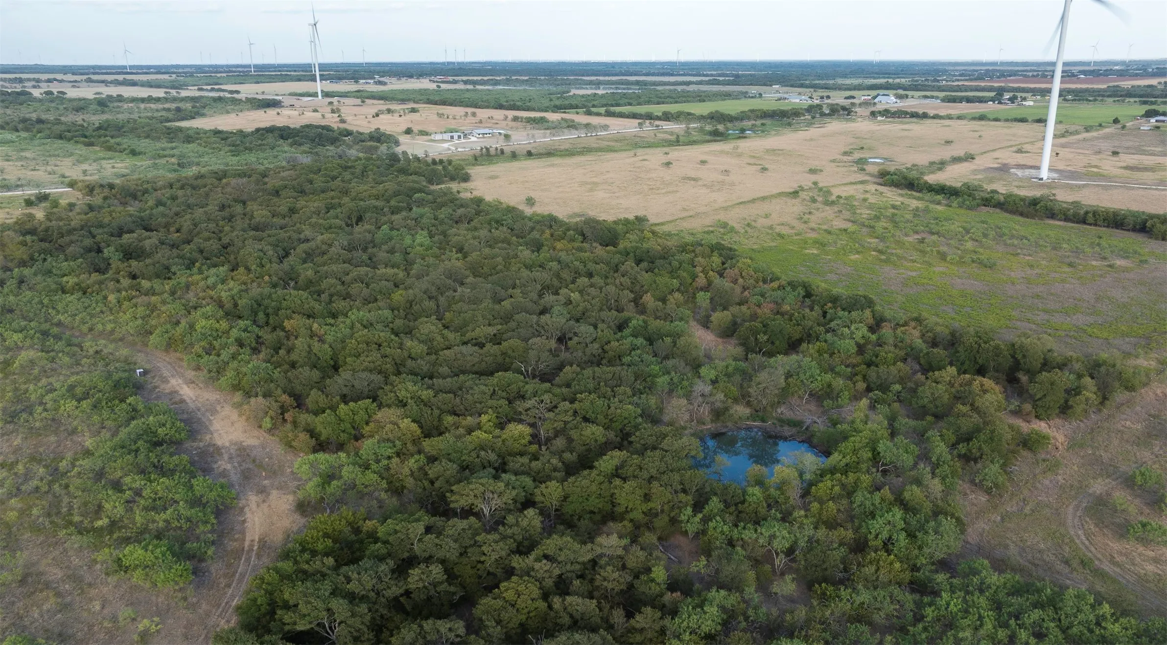 Wooded acreage featuring a natural pond and open clearings