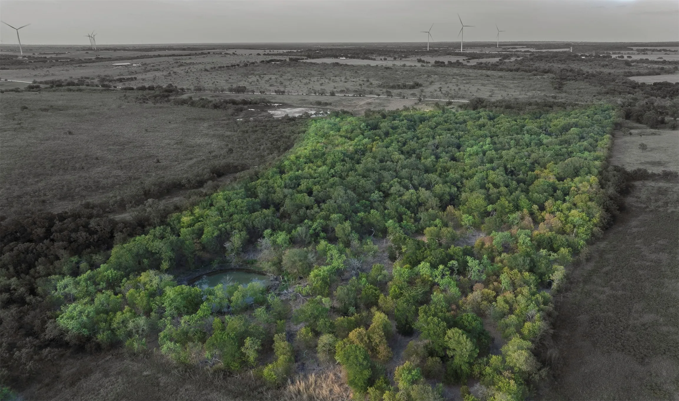 Wooded acreage featuring a natural water body