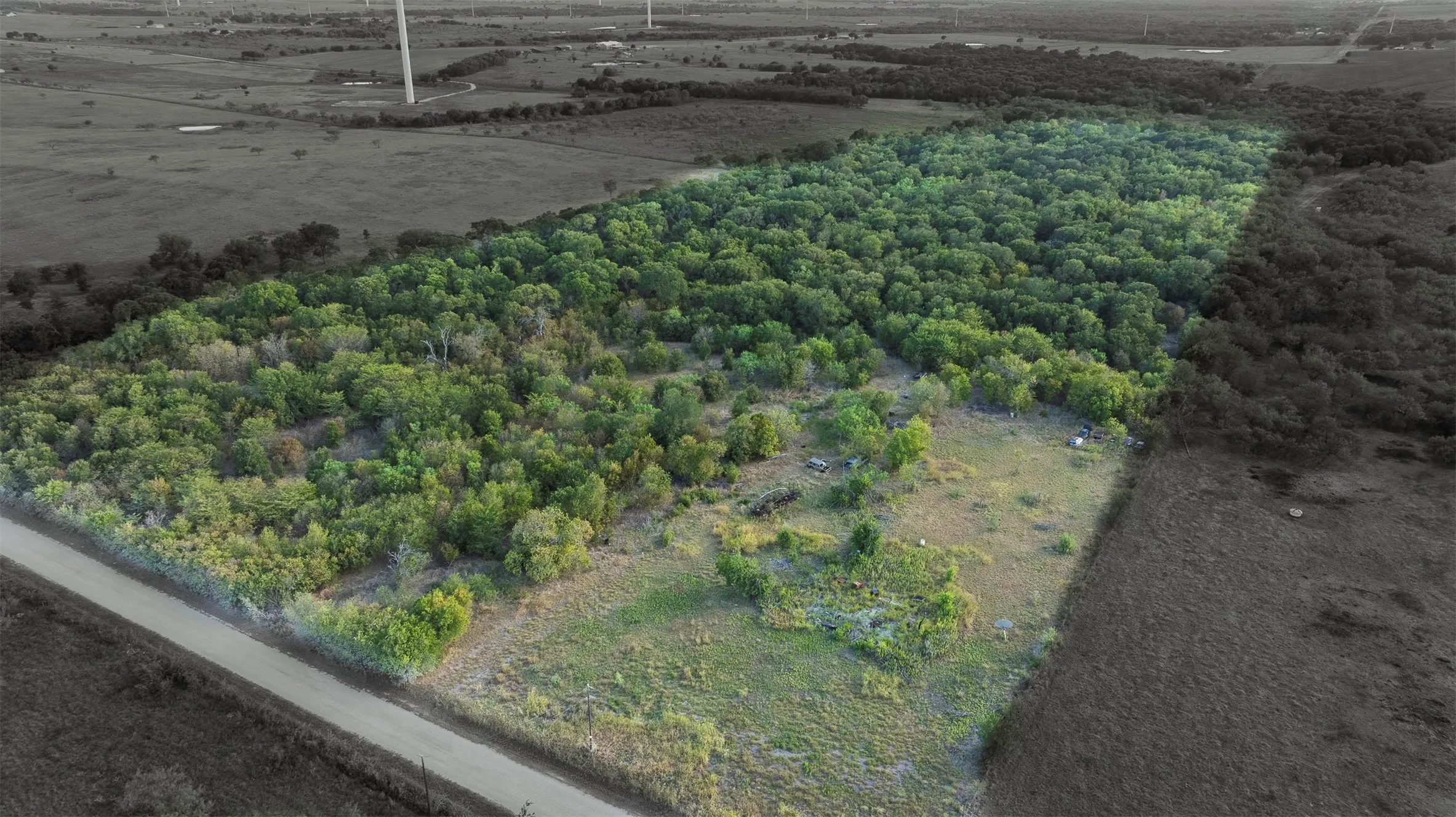 Expansive wooded acreage with a natural tree line and partial clearings