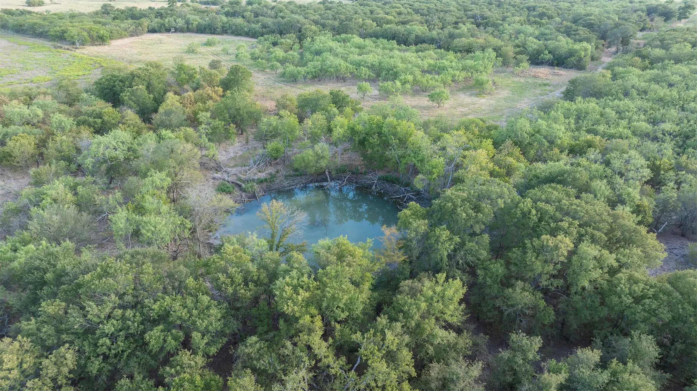 Natural water feature surrounded by dense mature trees