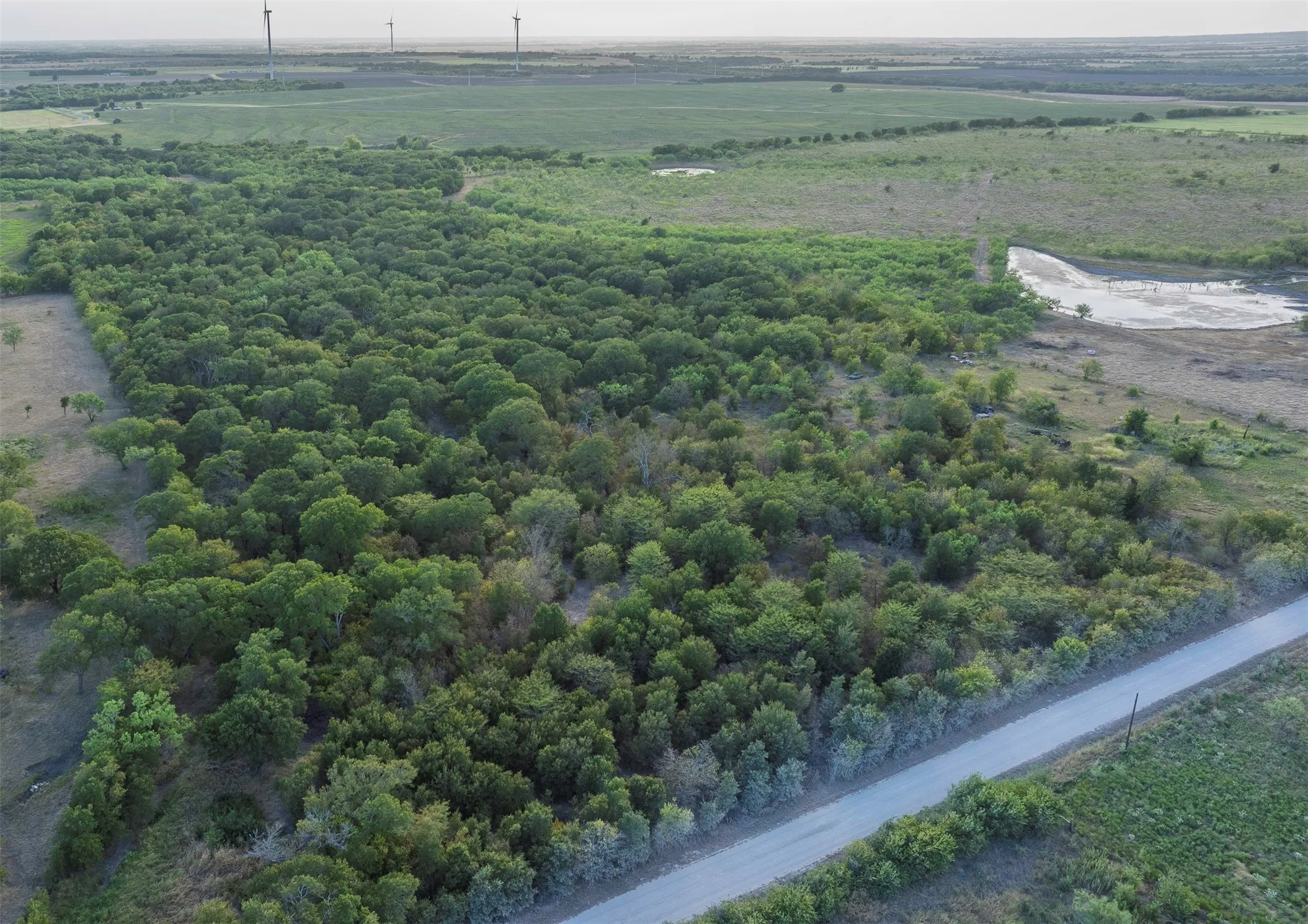 Expansive wooded acreage with a natural water feature and direct road frontage