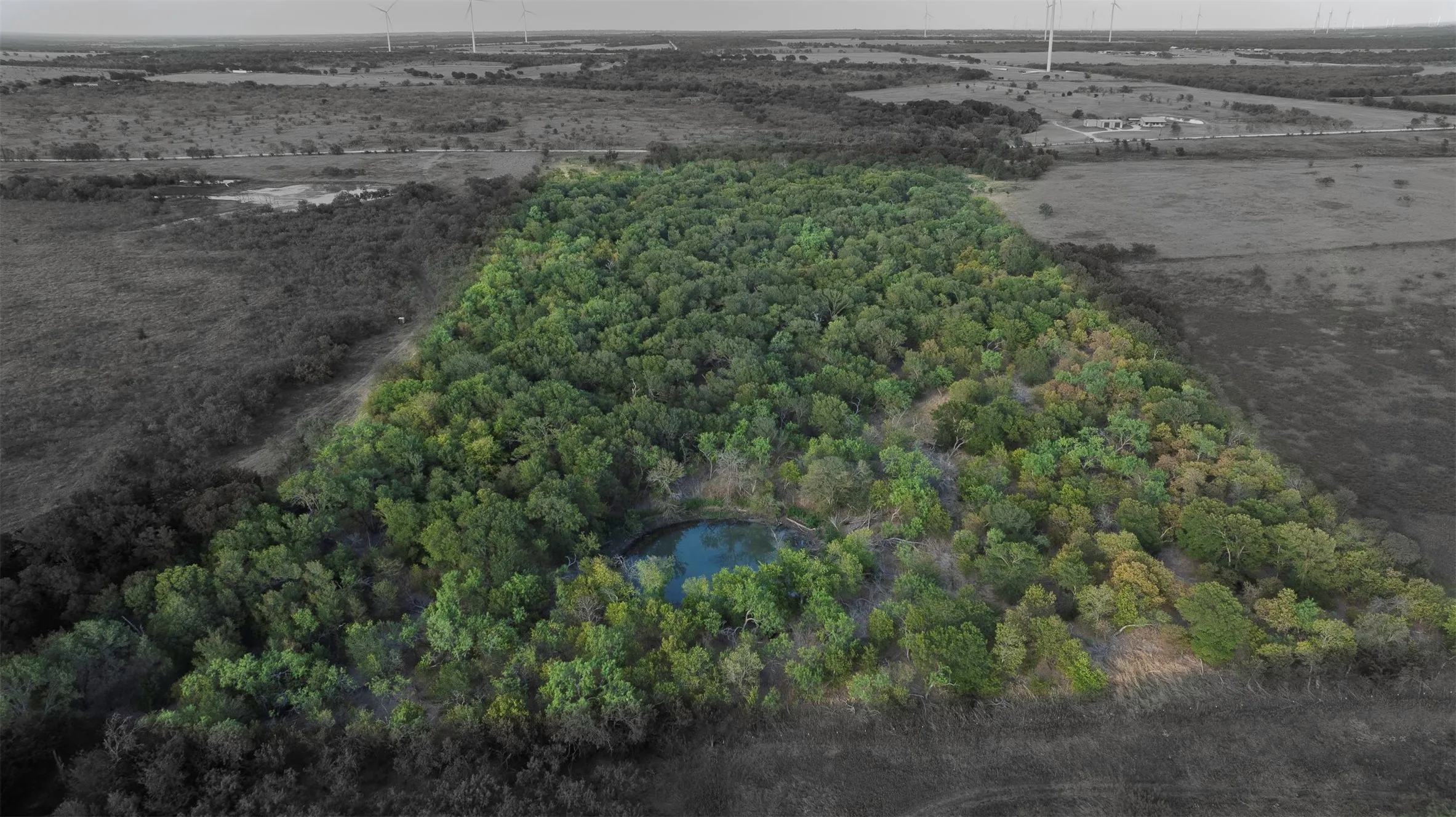 Expansive wooded acreage featuring a natural pond