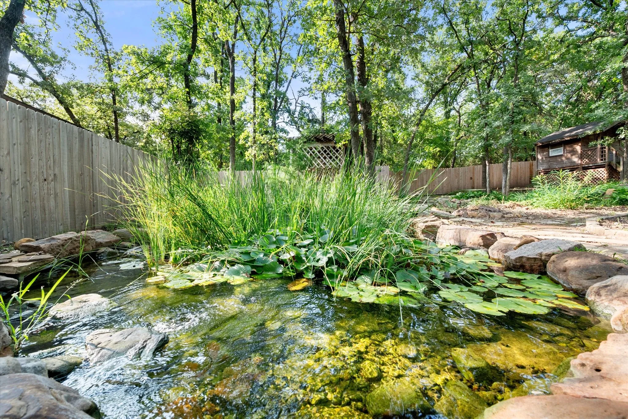 pond