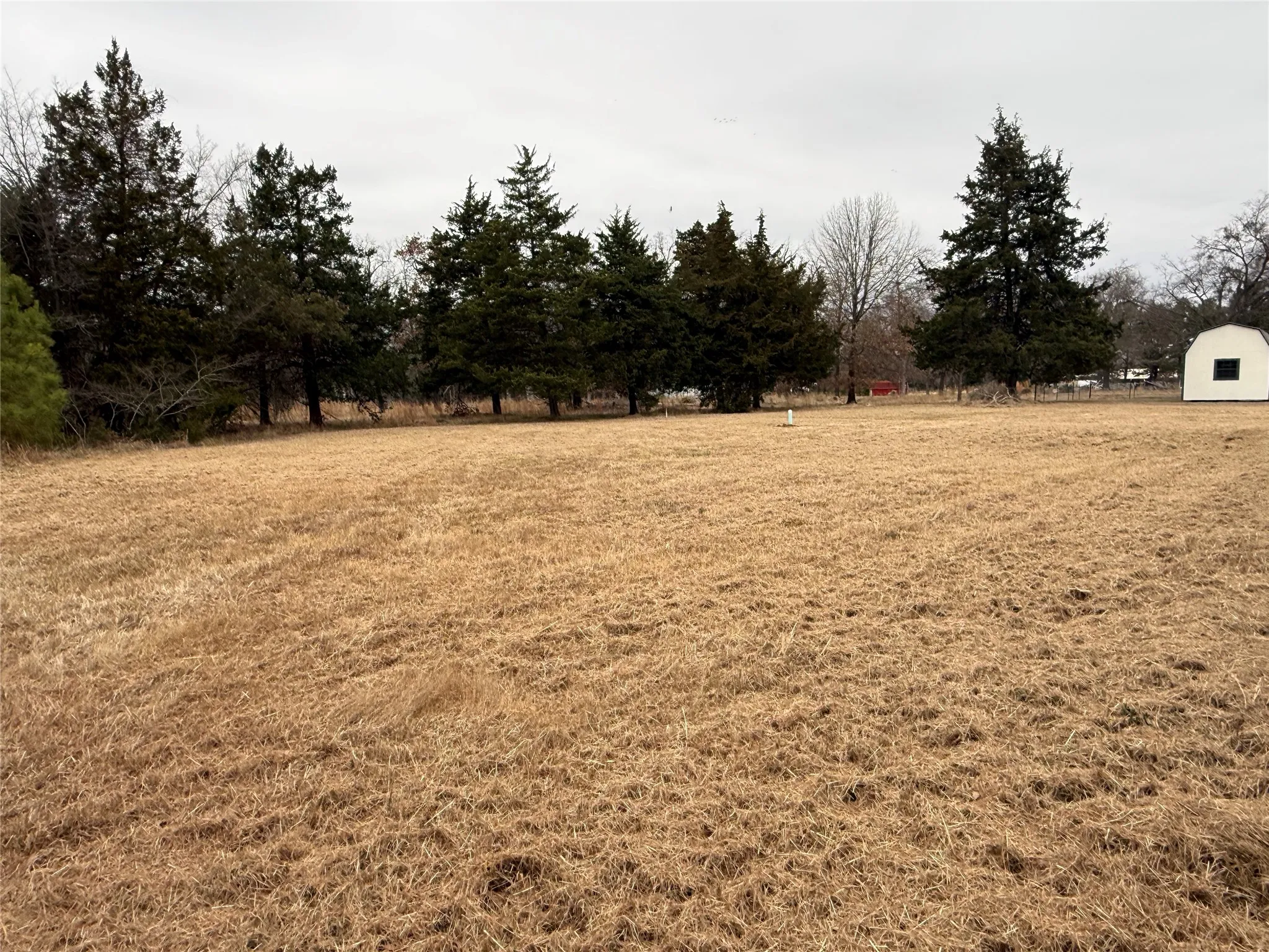 Business For Sale in Lamar County , 6597 Farm Road 1500, Sumner, Texas 75486, 0, 0, Garage spaces, 0 Sqft, built in 2006, mls#21358574, Real Estate Agent in Sumner, Homes For Sale in Lamar county, Homes For Sale in Sumner, Realtor in Sumner Texas, Real Estate Brokerage Independent Realty Texas, Luminita Cordes Realtor
