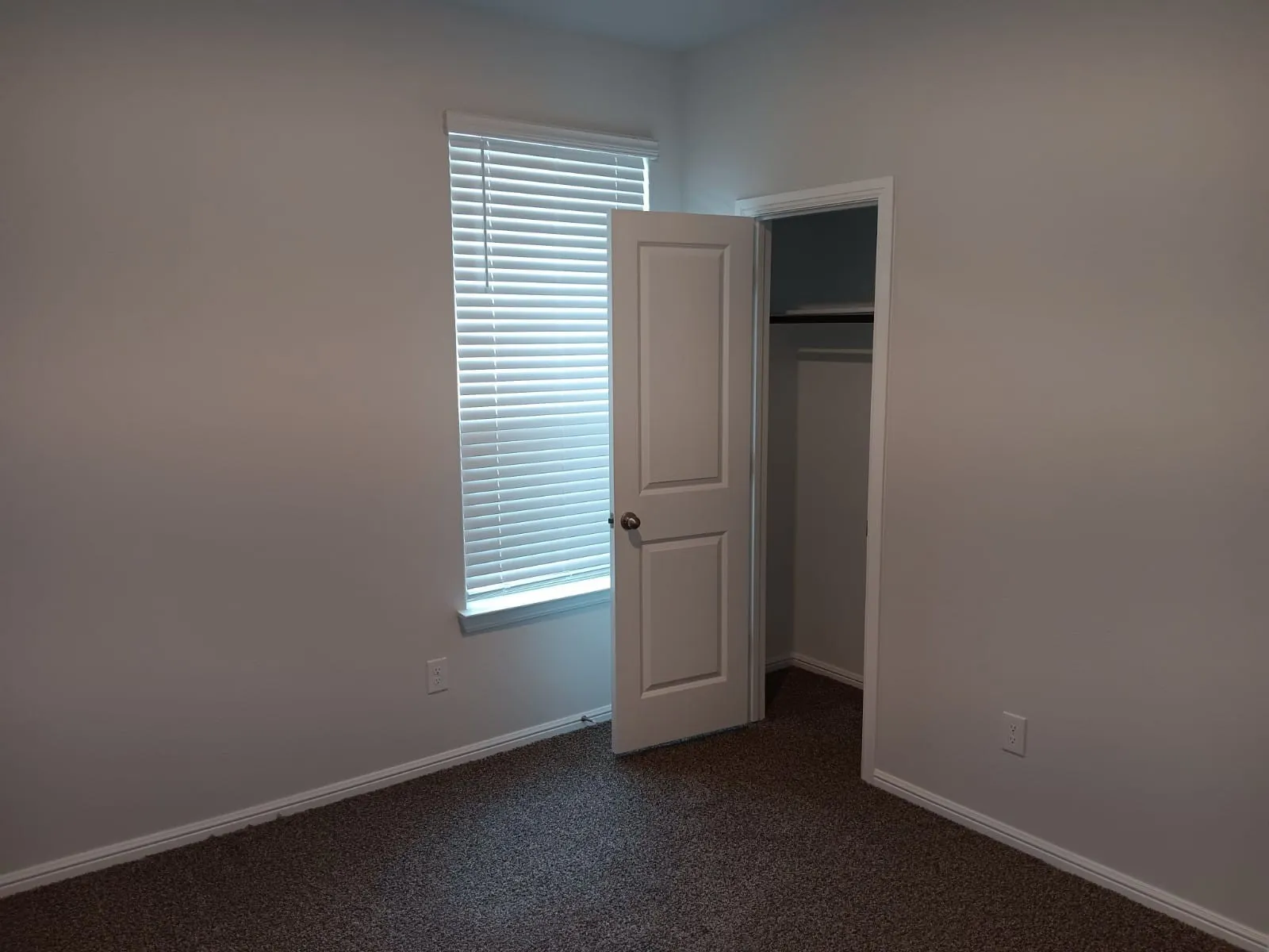 Neutral wall finishes, window with horizontal blinds, carpeting, and an open closet with shelving and hanging rod