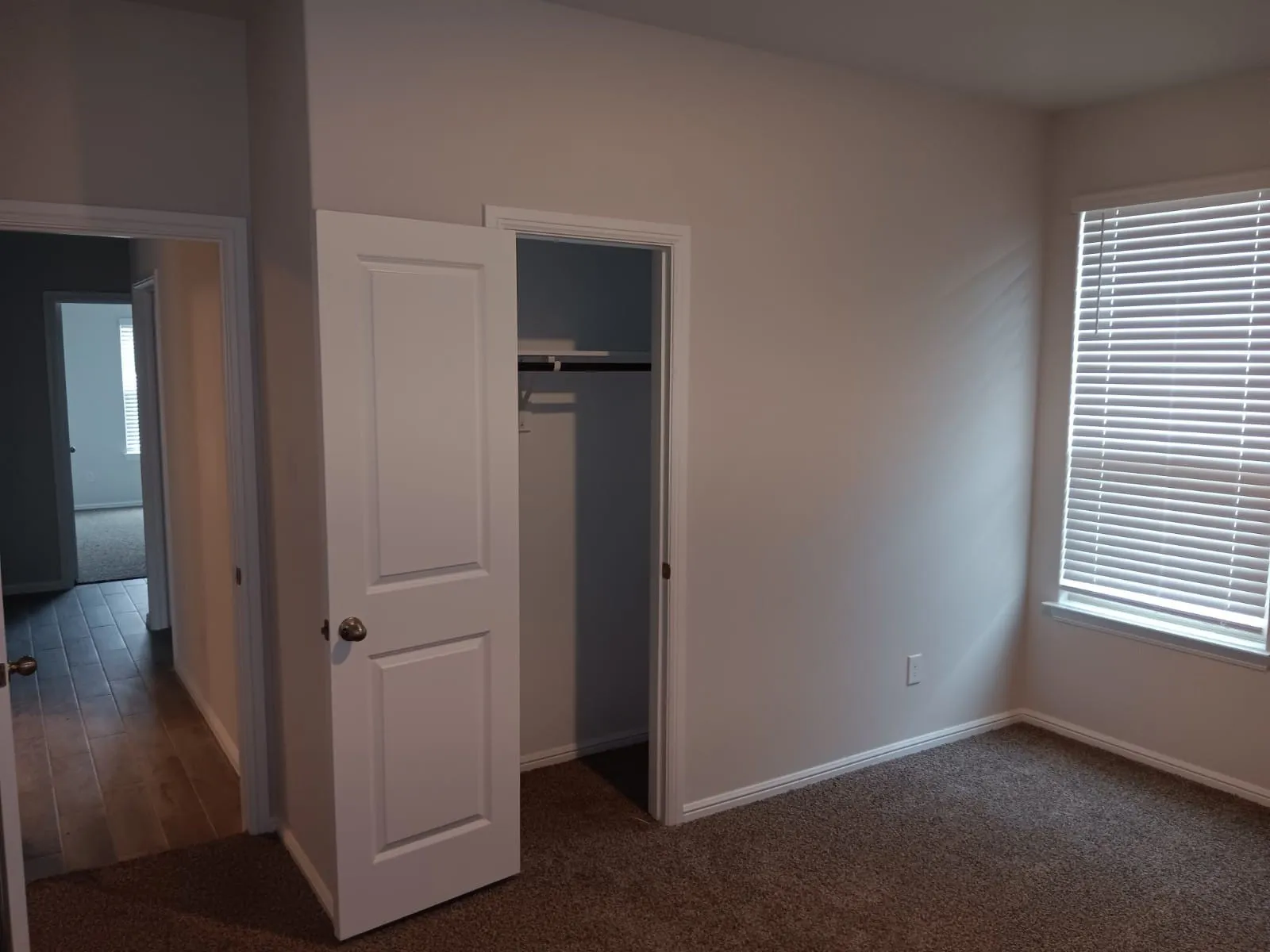 Neutral tone walls with white trim, brown carpet, window with horizontal blinds, and a built-in closet with shelving and hanging rod