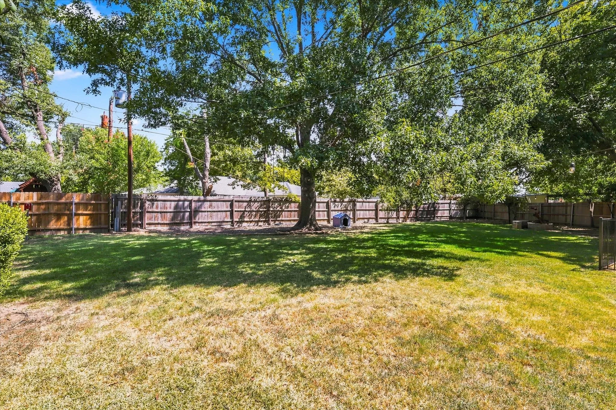 Expansive backyard featuring a stone fire pit, natural stone stepping stones, a wooden privacy fence, mature trees, and a storage shed
