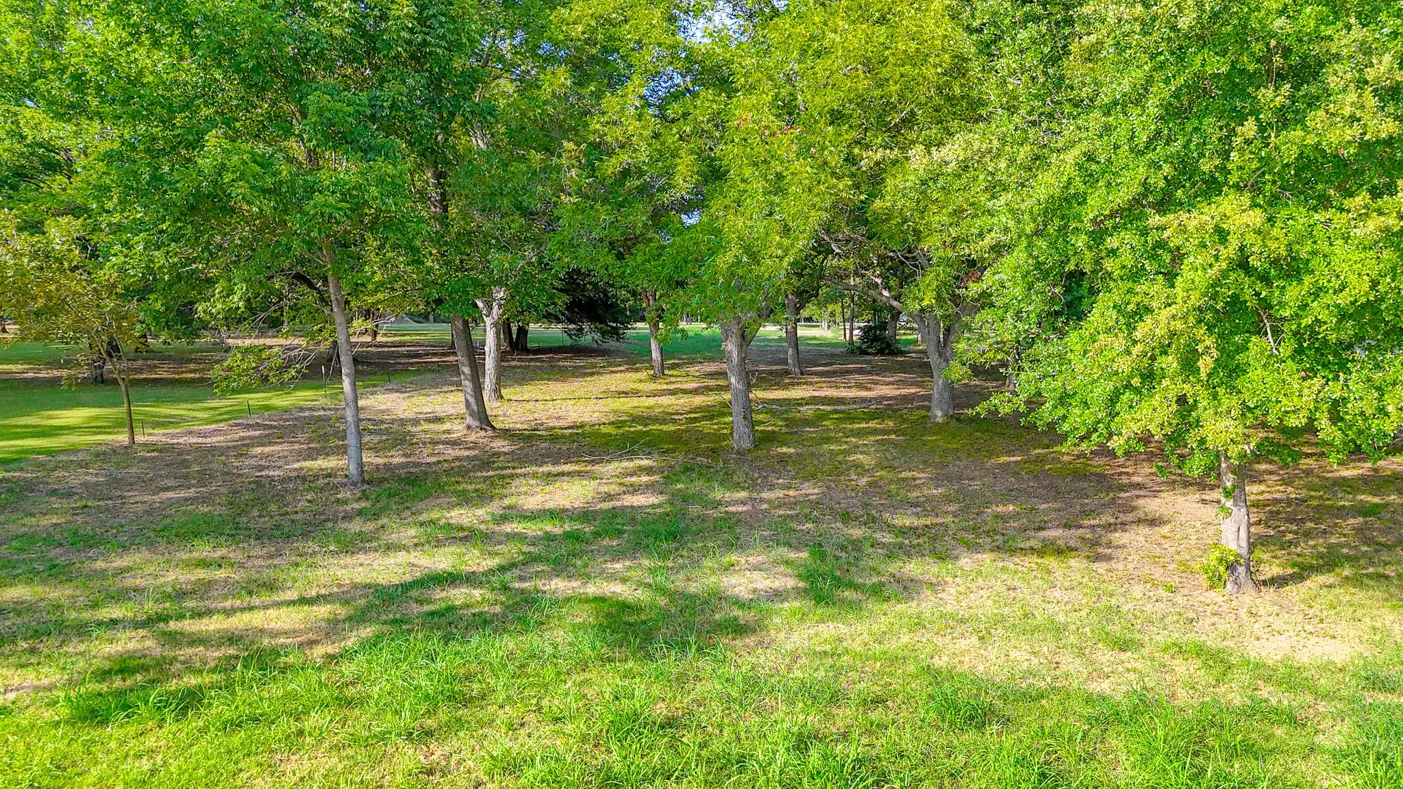 Unimproved Land For Sale in Navarro County , Lot 32 Embarcadero, Kerens, Texas 75144, 0, 0, Garage spaces, 0 Sqft, built in 0, Price $299,000, mls#21357994, Real Estate Agent in Kerens, Homes For Sale in Navarro county, Homes For Sale in Kerens, Realtor in Kerens Texas, Real Estate Brokerage Independent Realty Texas, Luminita Cordes Realtor