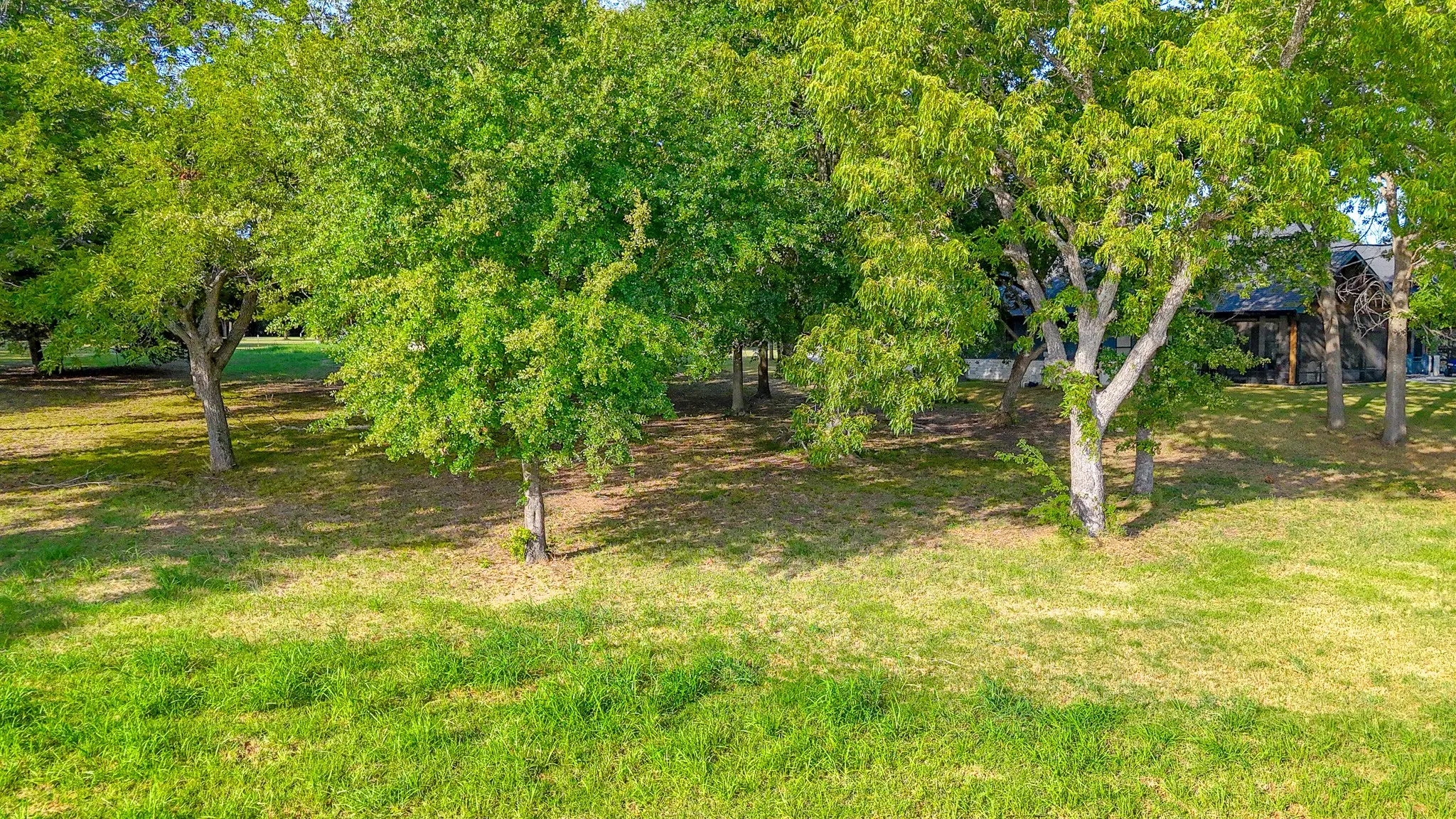 Unimproved Land For Sale in Navarro County , Lot 32 Embarcadero, Kerens, Texas 75144, 0, 0, Garage spaces, 0 Sqft, built in 0, Price $299,000, mls#21357994, Real Estate Agent in Kerens, Homes For Sale in Navarro county, Homes For Sale in Kerens, Realtor in Kerens Texas, Real Estate Brokerage Independent Realty Texas, Luminita Cordes Realtor