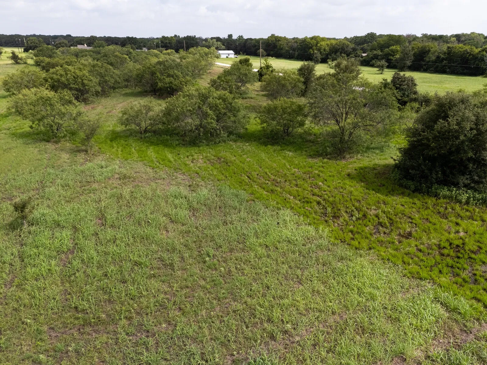 Unimproved Land For Sale in Mc Lennan County , TBD Hurst Road, Axtell, Texas 76624, 0, 0, Garage spaces, 0 Sqft, built in 0, mls#21358604, Real Estate Agent in Axtell, Homes For Sale in Mc Lennan county, Homes For Sale in Axtell, Realtor in Axtell Texas, Real Estate Brokerage Independent Realty Texas, Luminita Cordes Realtor
