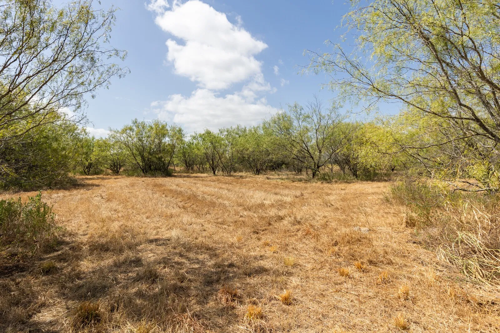 Unimproved Land For Sale in Mc Lennan County , TBD Hurst Road, Axtell, Texas 76624, 0, 0, Garage spaces, 0 Sqft, built in 0, mls#21358604, Real Estate Agent in Axtell, Homes For Sale in Mc Lennan county, Homes For Sale in Axtell, Realtor in Axtell Texas, Real Estate Brokerage Independent Realty Texas, Luminita Cordes Realtor