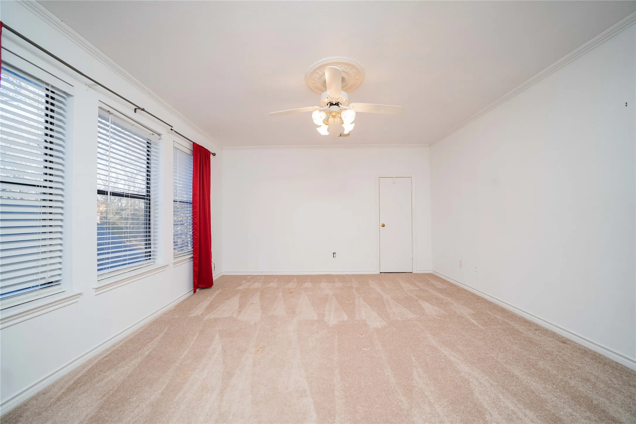 Spacious room featuring neutral carpeting, multiple windows with blinds, a ceiling fan with light fixture, white walls, and crown molding