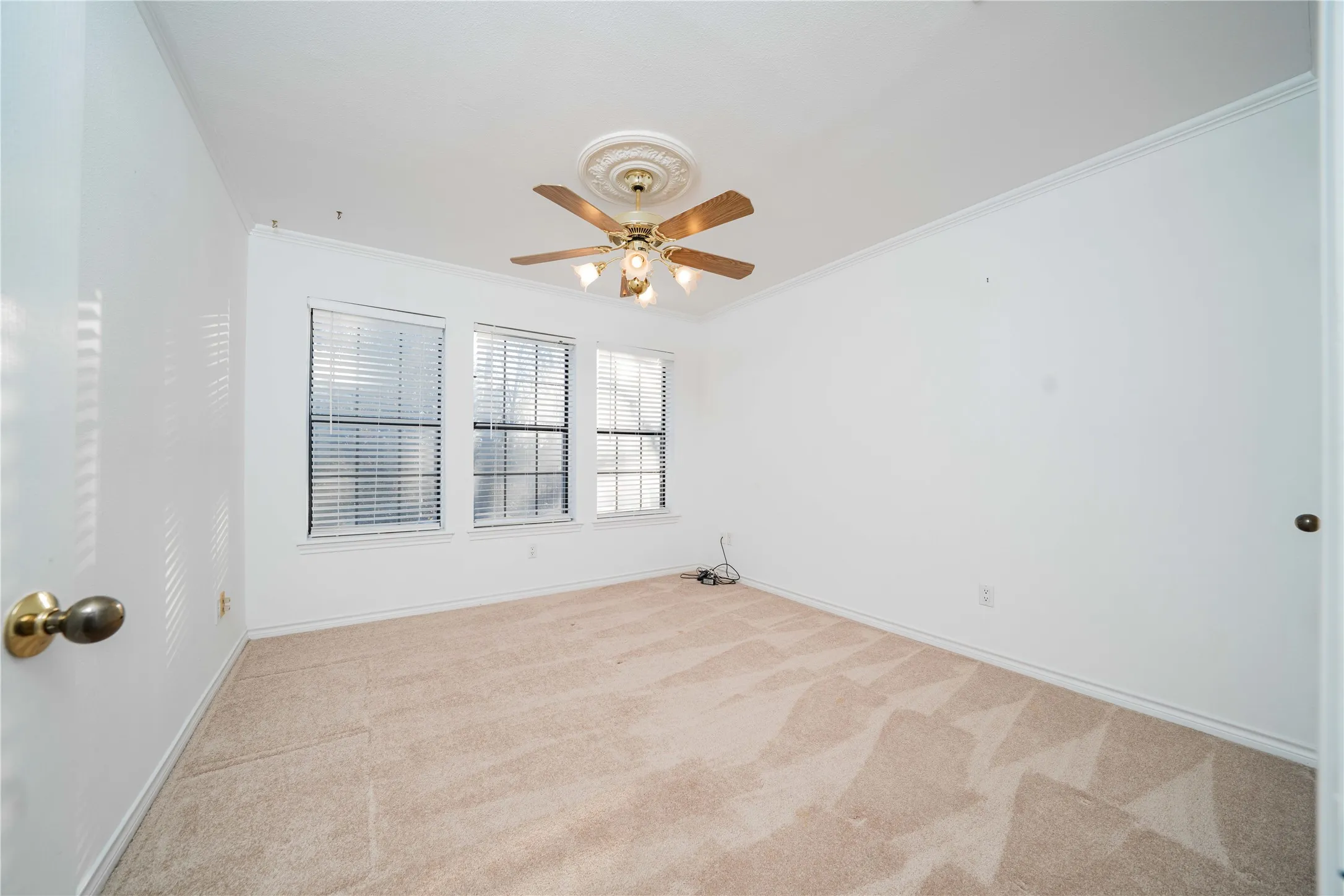 Carpeted room featuring three windows with blinds, a ceiling fan with light fixture, and crown molding