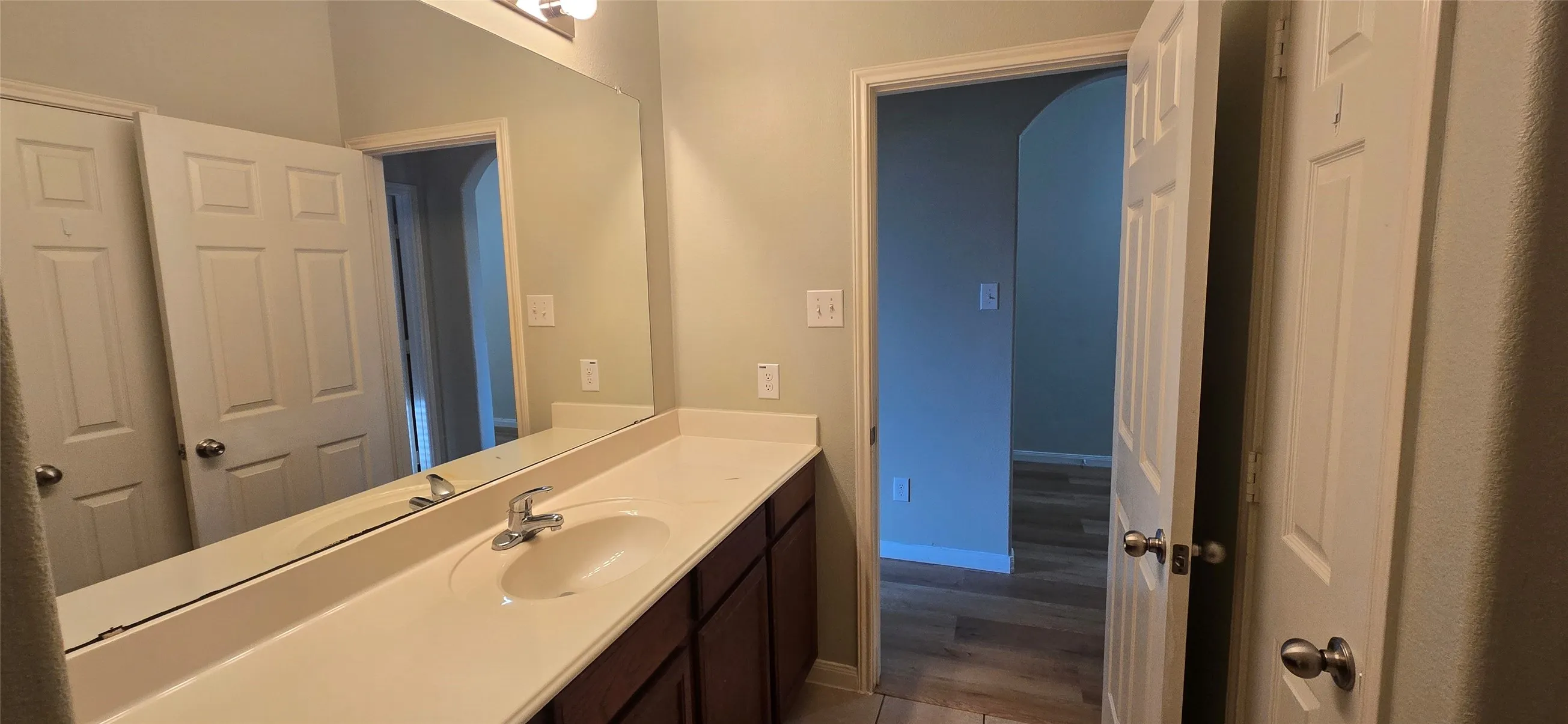 Bathroom with baseboards, wood finished floors, and vanity