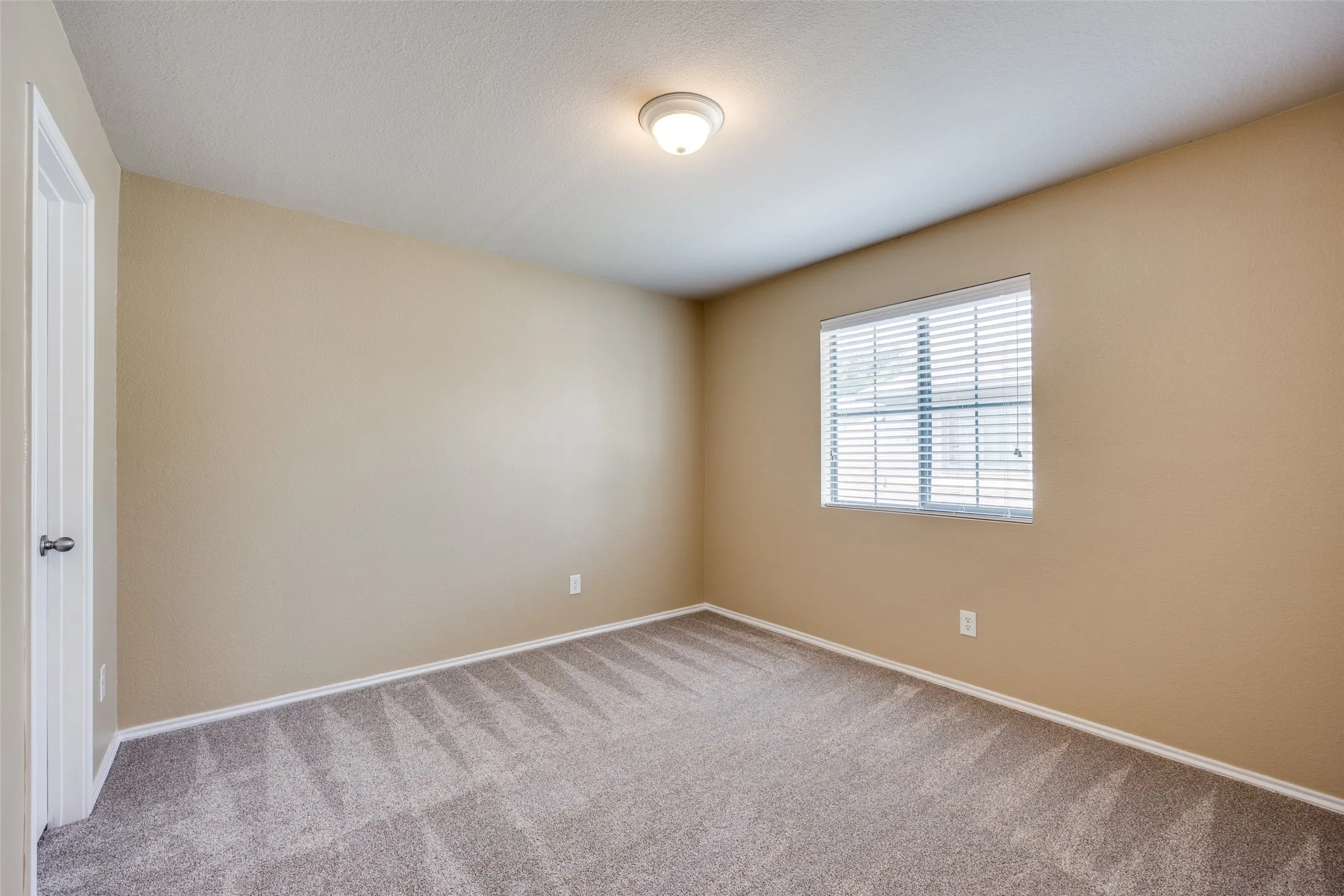 Neutral-toned walls complement patterned carpeting