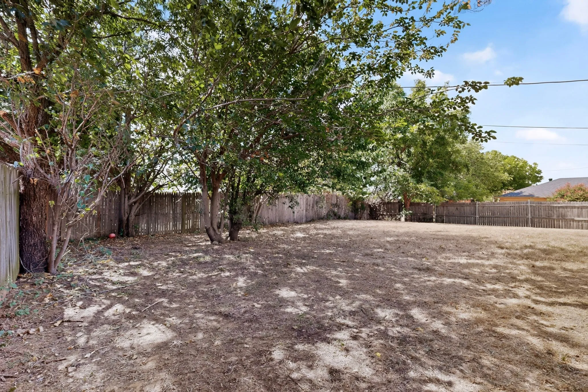 Spacious dirt lot with mature shade trees providing natural coverage throughout the property