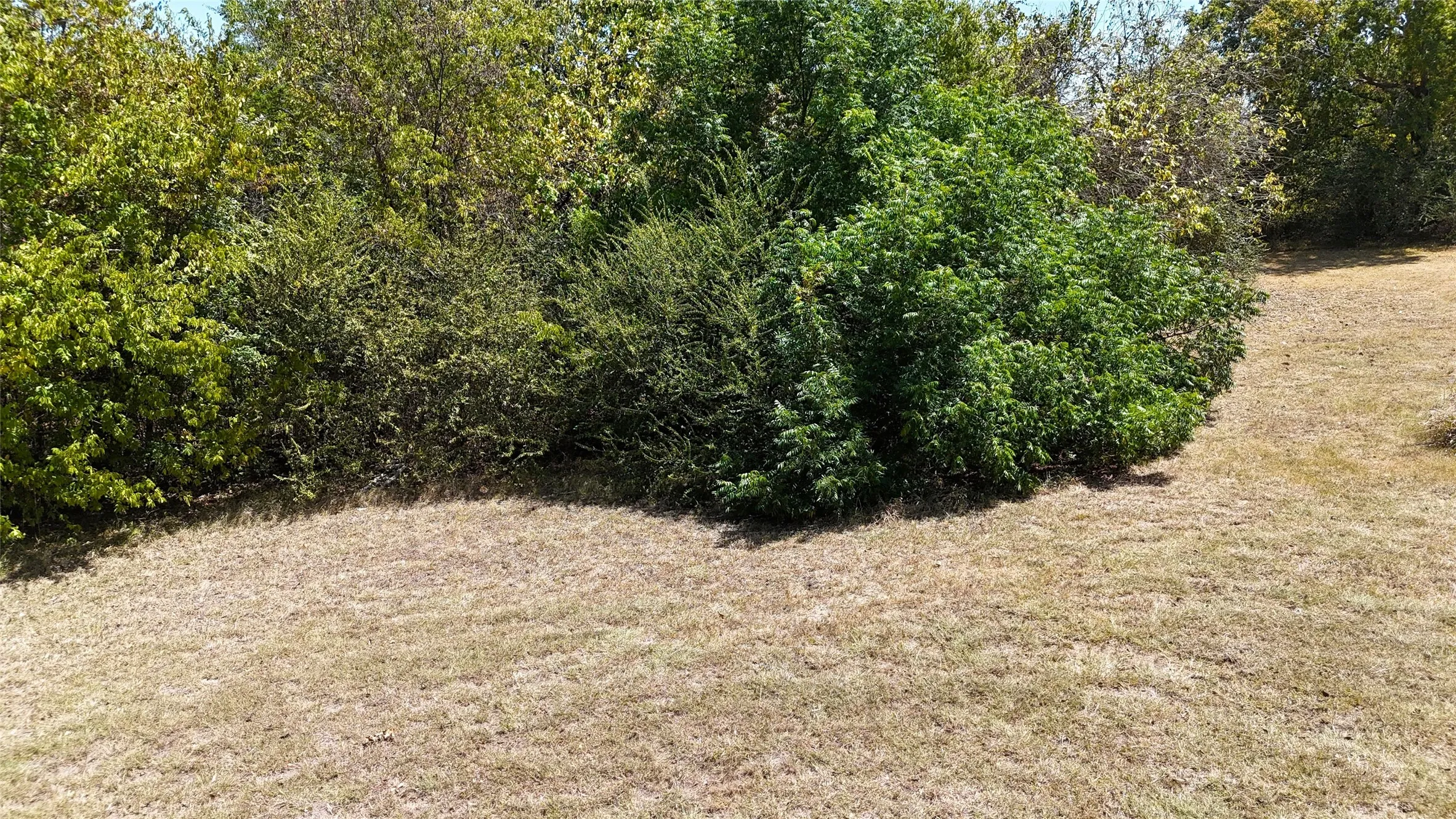 Unimproved Land For Sale in Hunt County , 416 Black Foot, Quinlan, Texas 75474, 0, 0, Garage spaces, 0 Sqft, built in 0, Price $80,000, mls#21358779, Real Estate Agent in Quinlan, Homes For Sale in Hunt county, Homes For Sale in Quinlan, Realtor in Quinlan Texas, Real Estate Brokerage Independent Realty Texas, Luminita Cordes Realtor