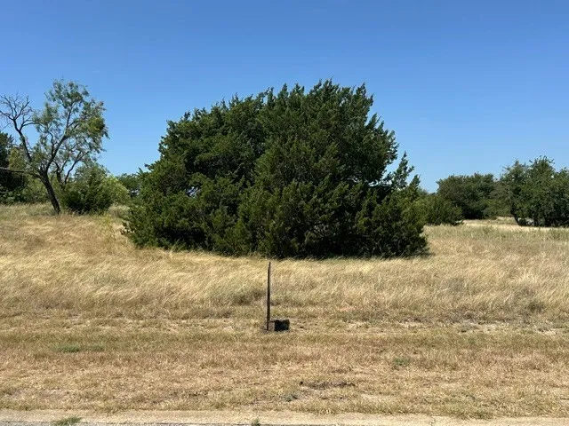 LOT 167