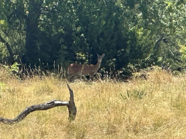 Nature in the Community