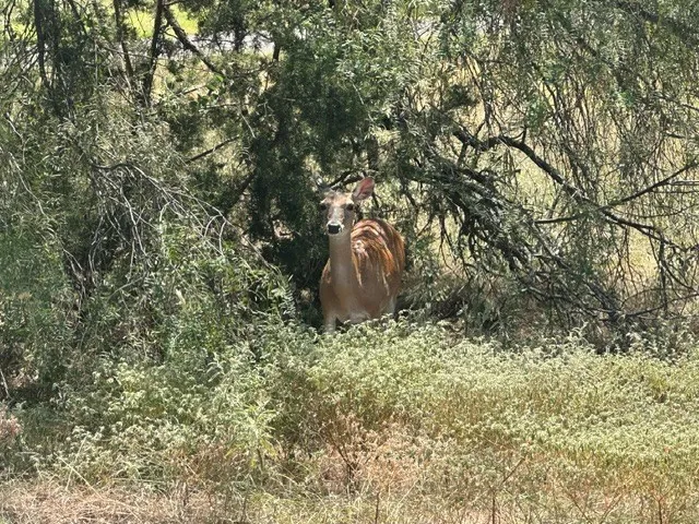 Nature in the Community