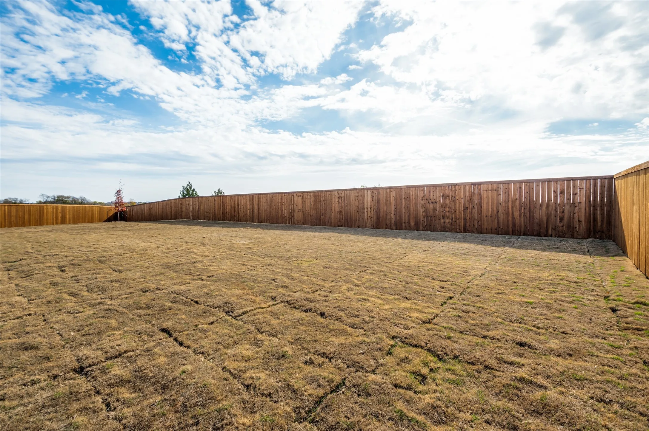 Expansive backyard space with perimeter wood fencing