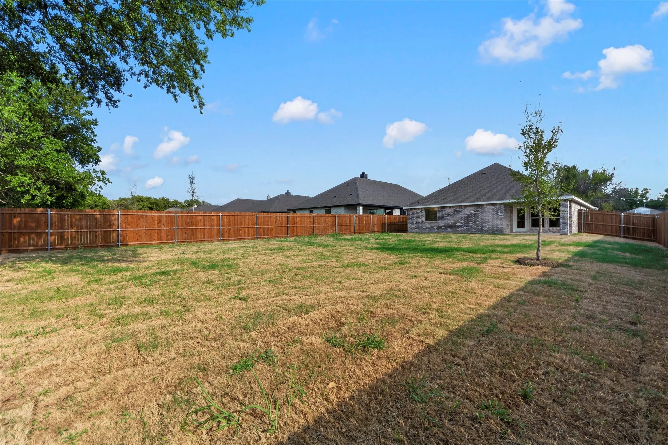 Expansive backyard with a full wood privacy fence and a young tree