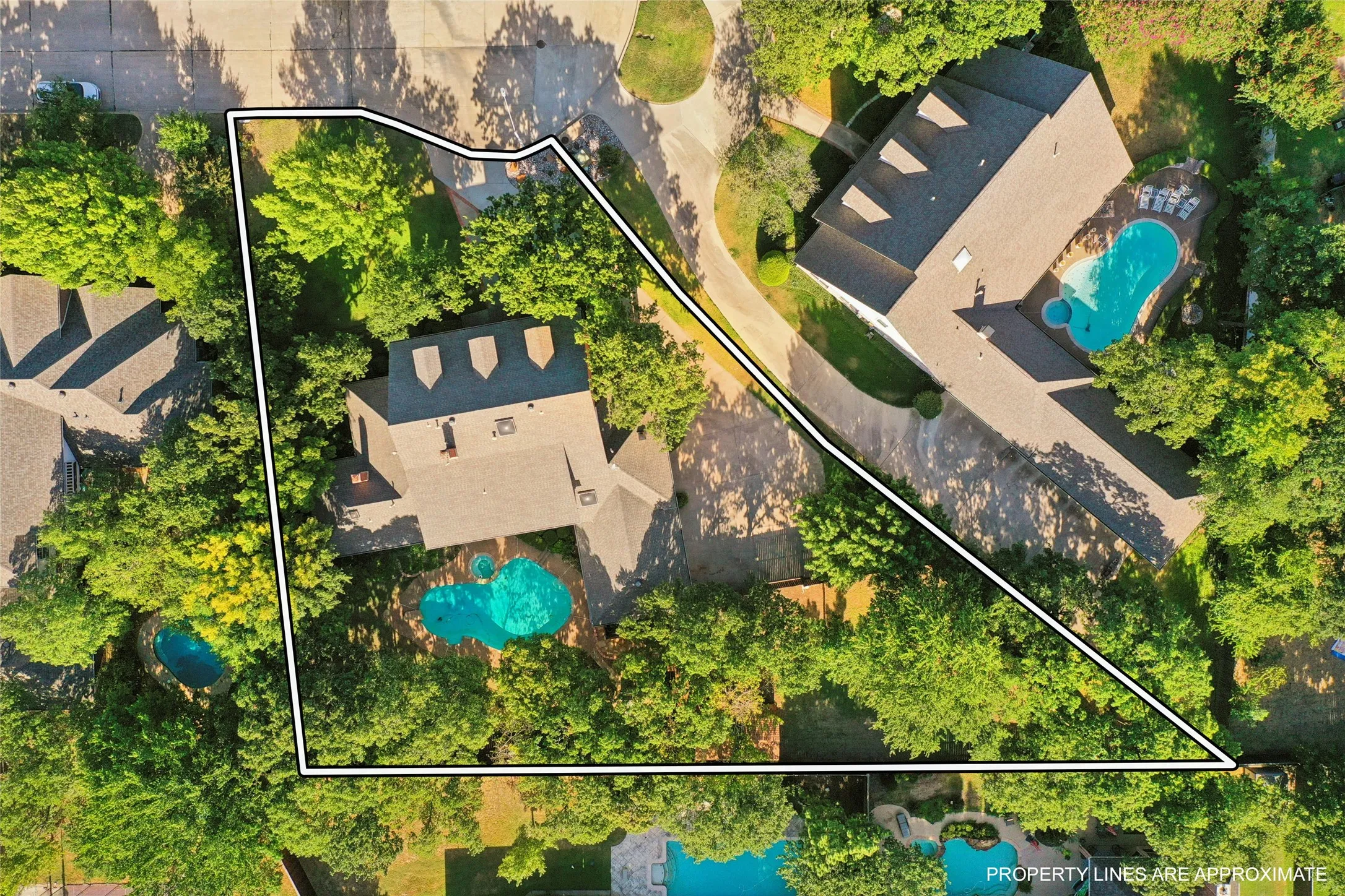 Aerial perspective showcasing a large residential property with mature trees, an in-ground swimming pool, and an extensive paved driveway