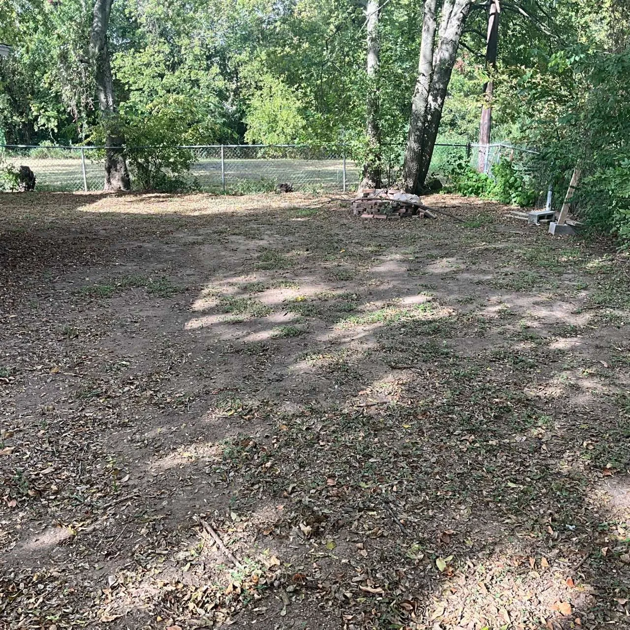 Back yard