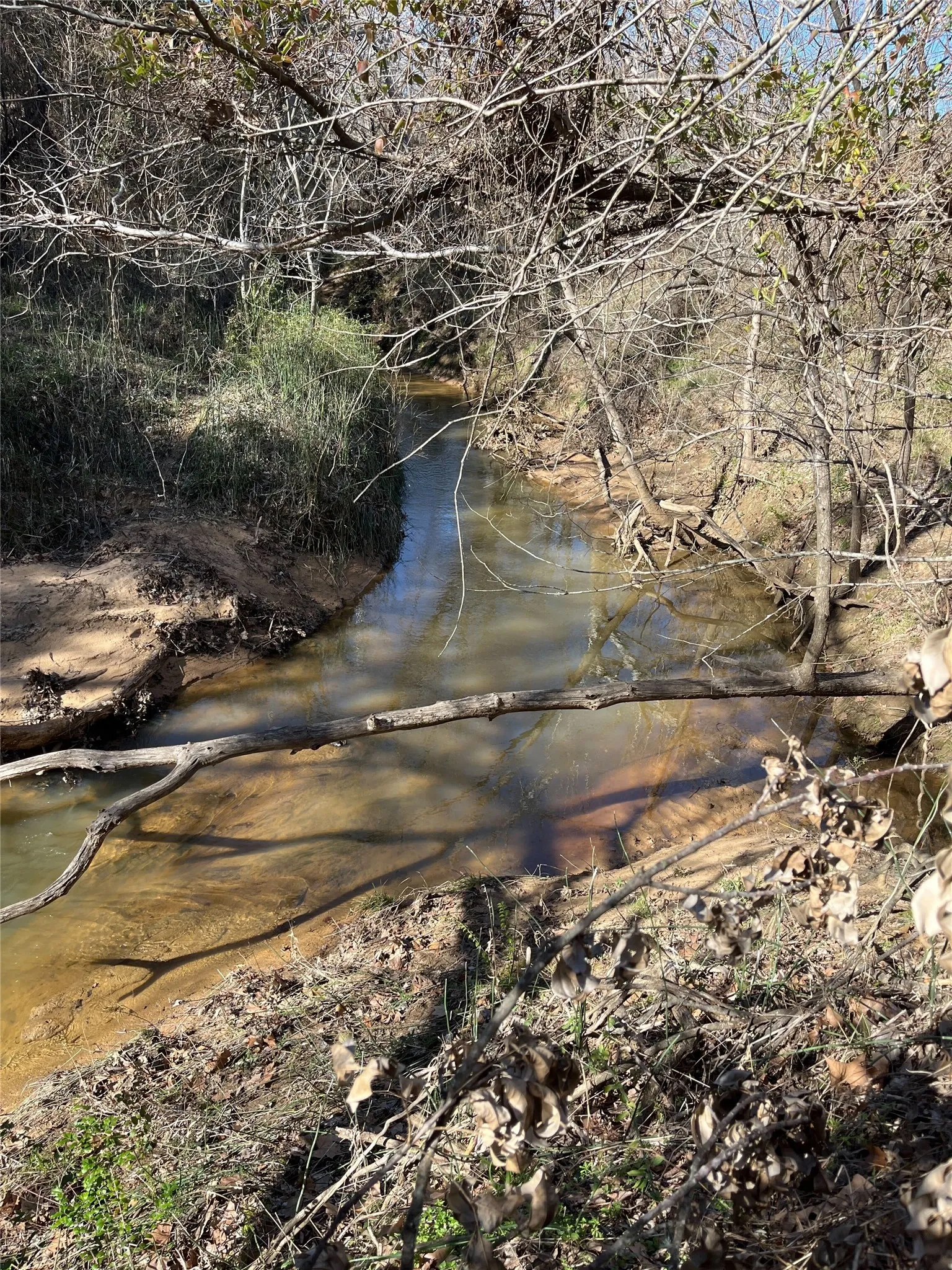 Unimproved Land For Sale in Grayson County , 00 S Maurice Avenue, Denison, Texas 75020, 0, 0, Garage spaces, 0 Sqft, built in 0, Price $124,000, mls#21358938, Real Estate Agent in Denison, Homes For Sale in Grayson county, Homes For Sale in Denison, Realtor in Denison Texas, Real Estate Brokerage Independent Realty Texas, Luminita Cordes Realtor