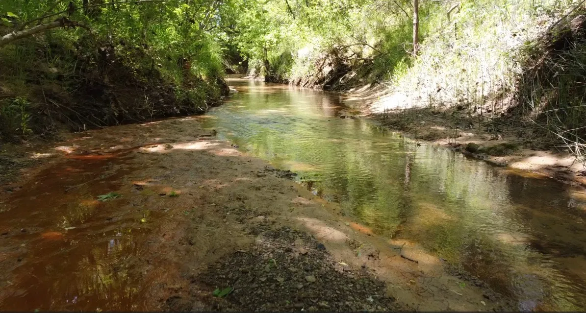 Creek through the property