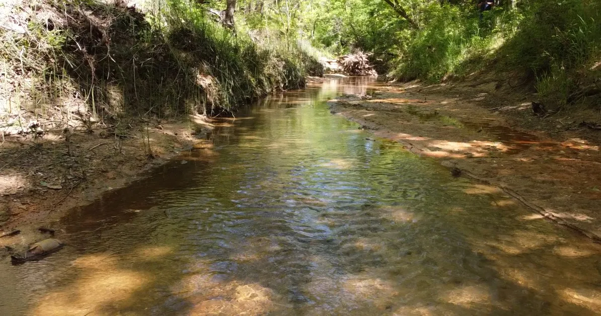 Unimproved Land For Sale in Grayson County , 00 S Maurice Avenue, Denison, Texas 75020, 0, 0, Garage spaces, 0 Sqft, built in 0, Price $124,000, mls#21358938, Real Estate Agent in Denison, Homes For Sale in Grayson county, Homes For Sale in Denison, Realtor in Denison Texas, Real Estate Brokerage Independent Realty Texas, Luminita Cordes Realtor
