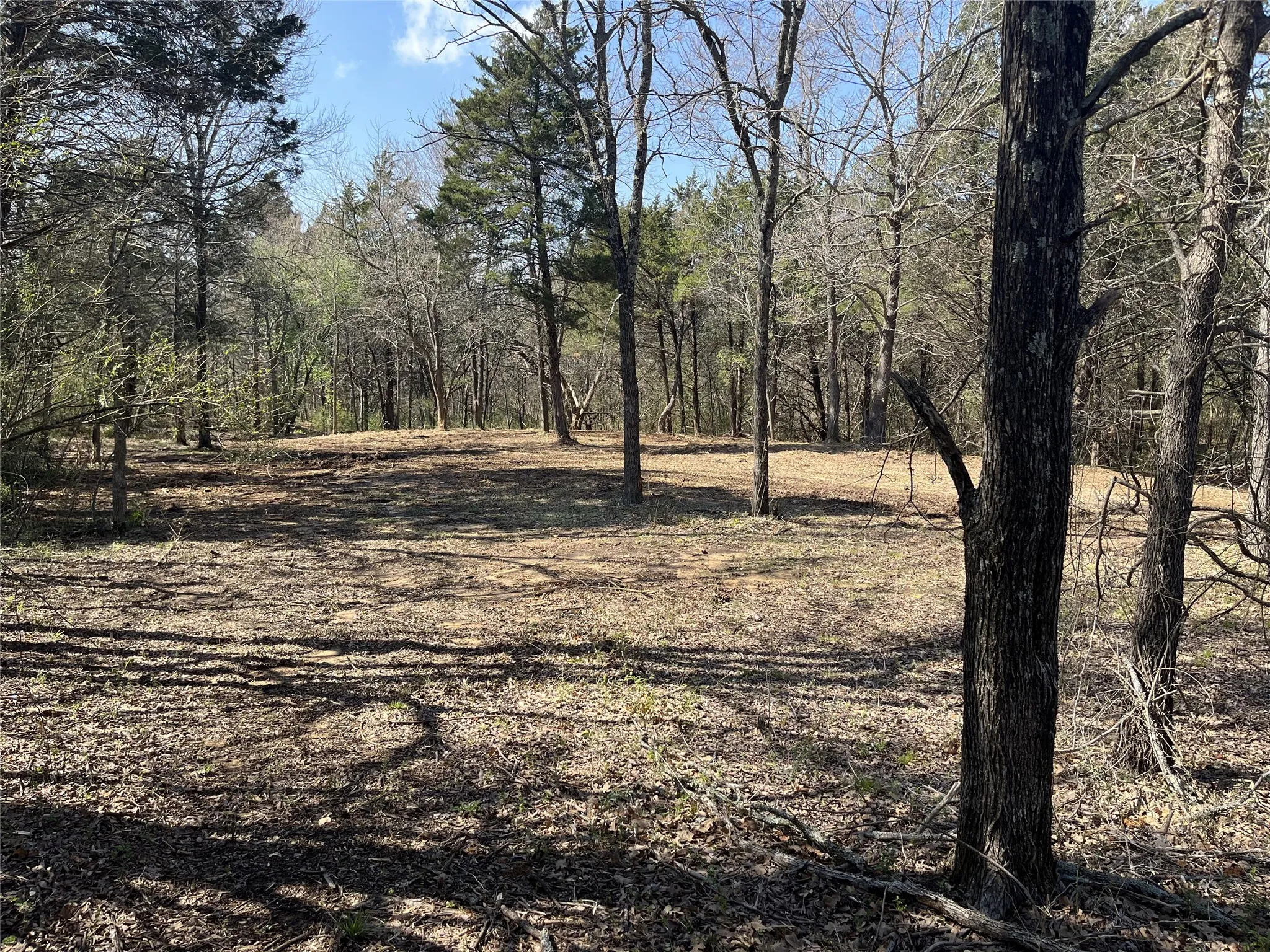 Unimproved Land For Sale in Grayson County , 00 S Maurice Avenue, Denison, Texas 75020, 0, 0, Garage spaces, 0 Sqft, built in 0, Price $124,000, mls#21358938, Real Estate Agent in Denison, Homes For Sale in Grayson county, Homes For Sale in Denison, Realtor in Denison Texas, Real Estate Brokerage Independent Realty Texas, Luminita Cordes Realtor