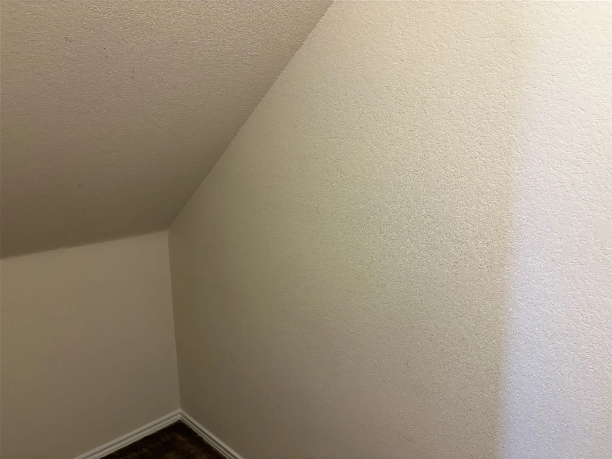 Large closet under the stairs