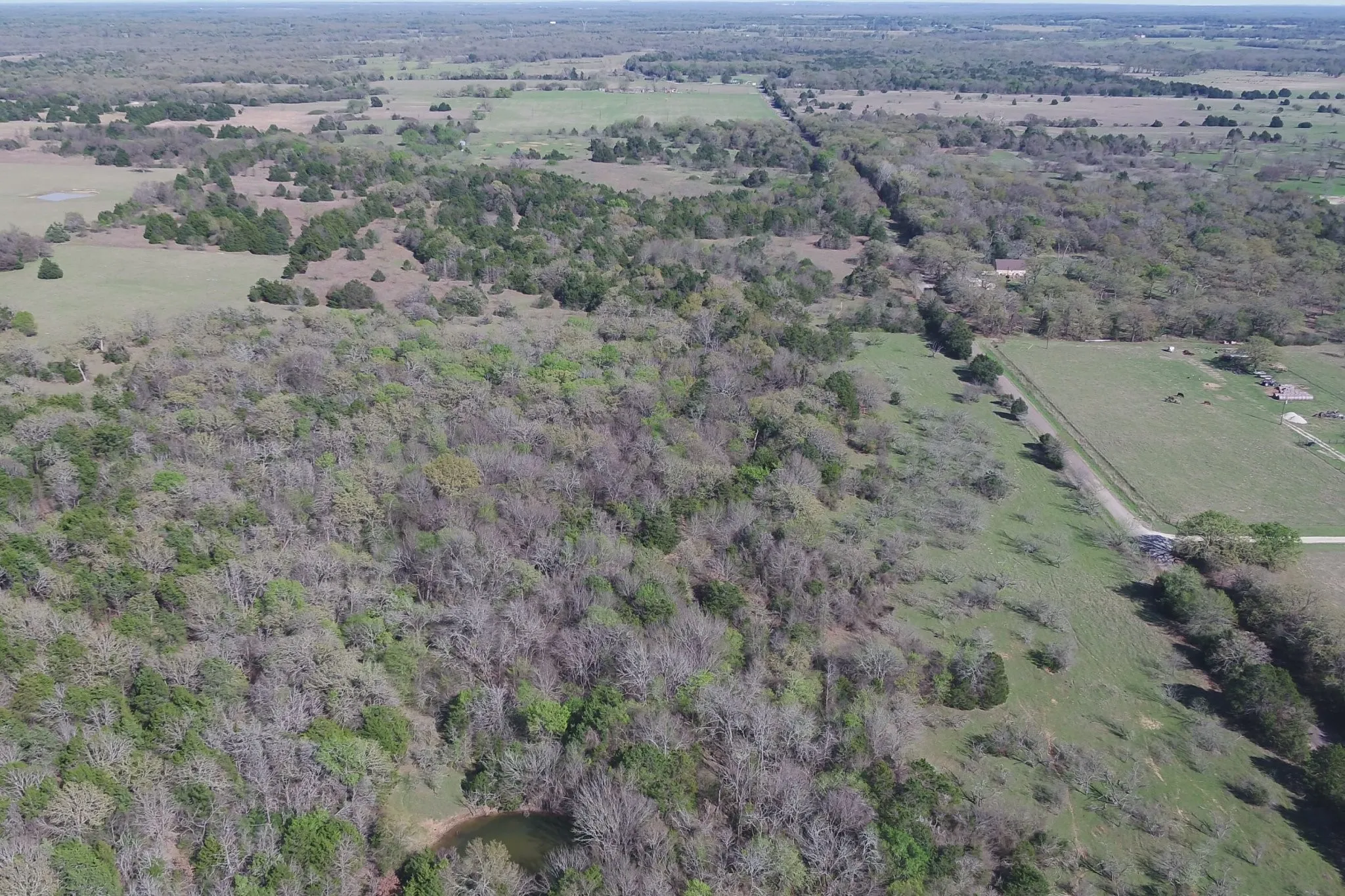 Unimproved Land For Sale in Freestone County , 970 FCR, Wortham, Texas 76693, 0, 0, Garage spaces, 0 Sqft, built in 0, mls#21358991, Real Estate Agent in Wortham, Homes For Sale in Freestone county, Homes For Sale in Wortham, Realtor in Wortham Texas, Real Estate Brokerage Independent Realty Texas, Luminita Cordes Realtor