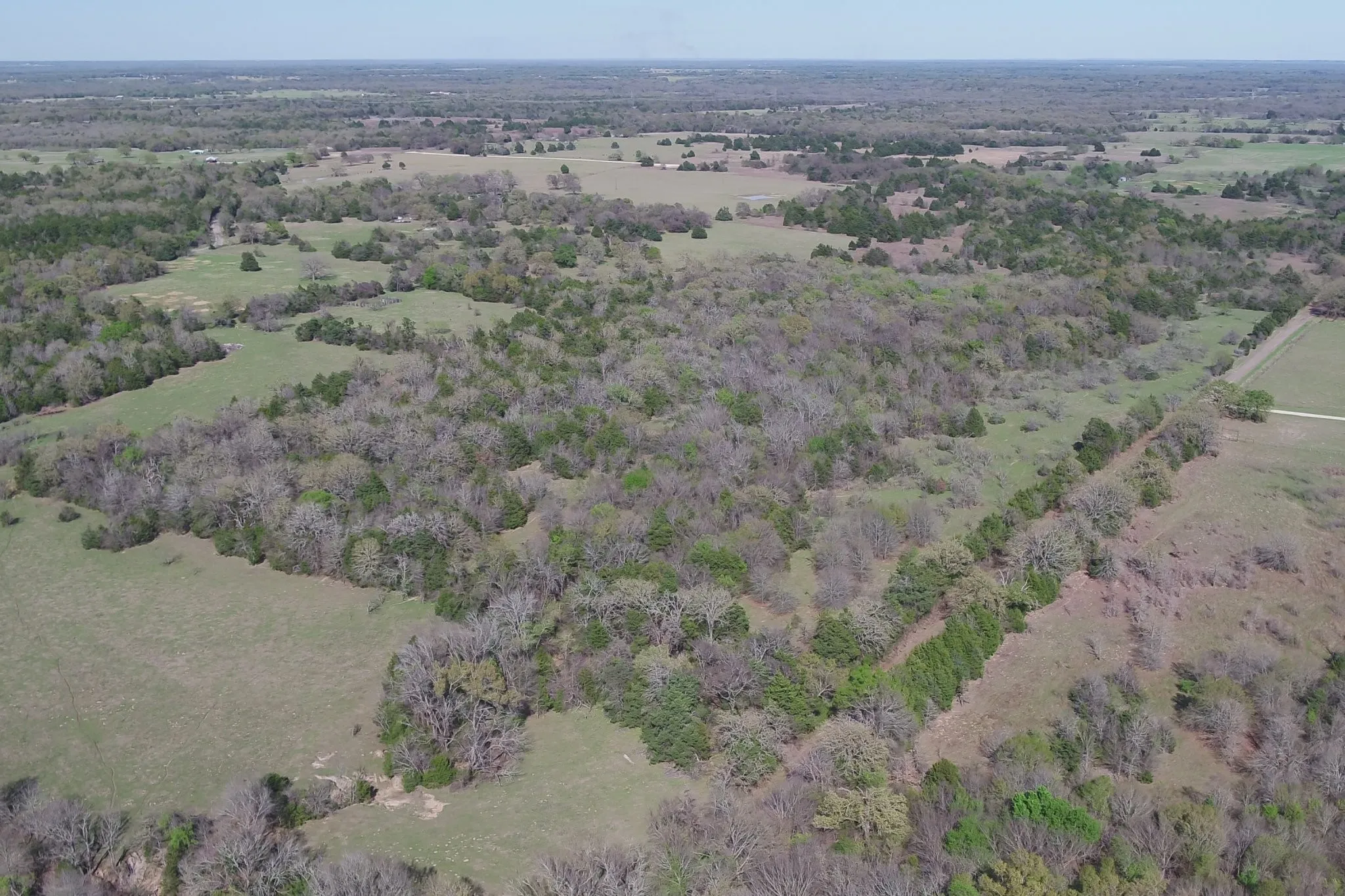 Unimproved Land For Sale in Freestone County , 970 FCR, Wortham, Texas 76693, 0, 0, Garage spaces, 0 Sqft, built in 0, mls#21358991, Real Estate Agent in Wortham, Homes For Sale in Freestone county, Homes For Sale in Wortham, Realtor in Wortham Texas, Real Estate Brokerage Independent Realty Texas, Luminita Cordes Realtor