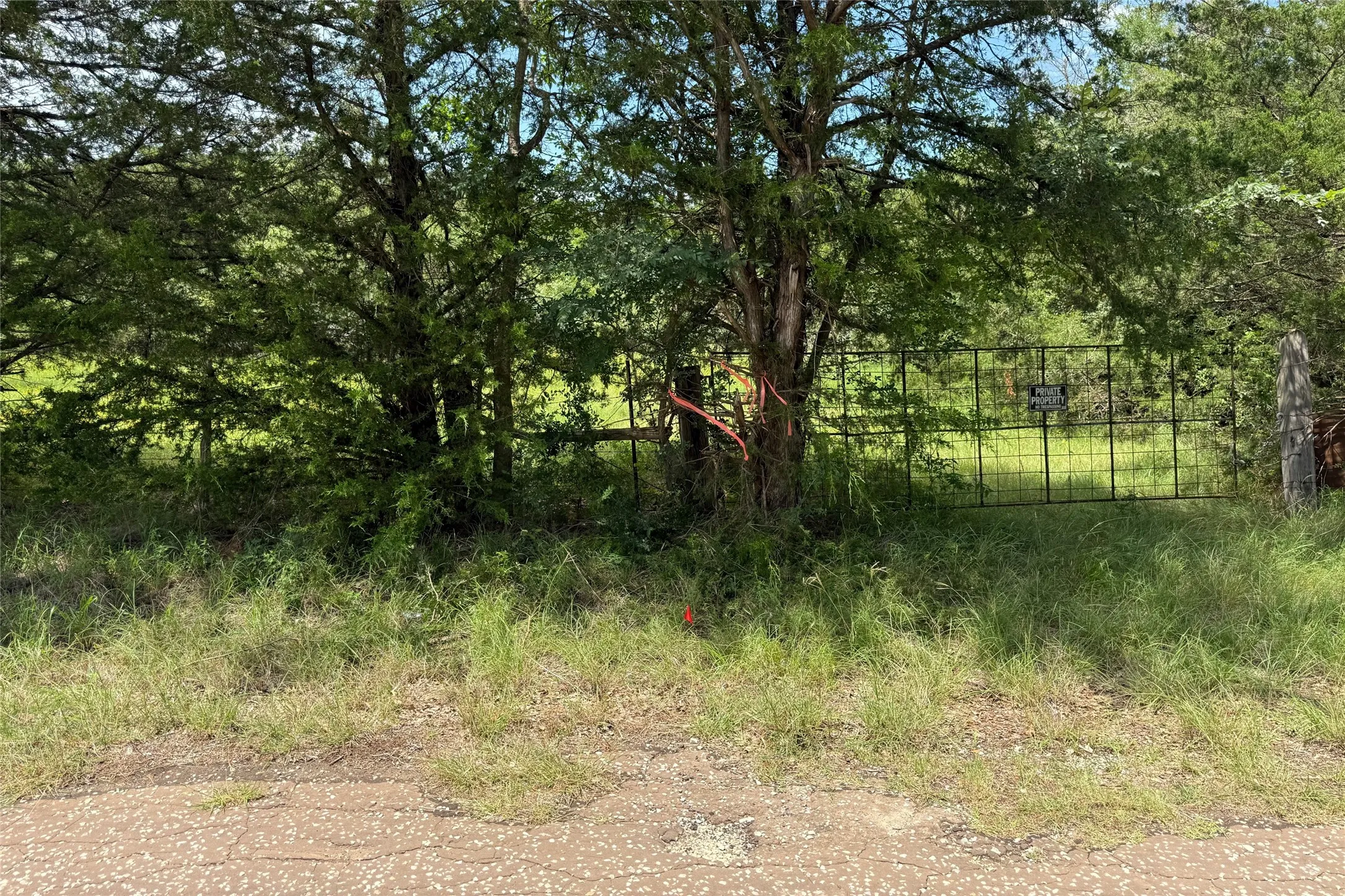 SE Corner boundary line