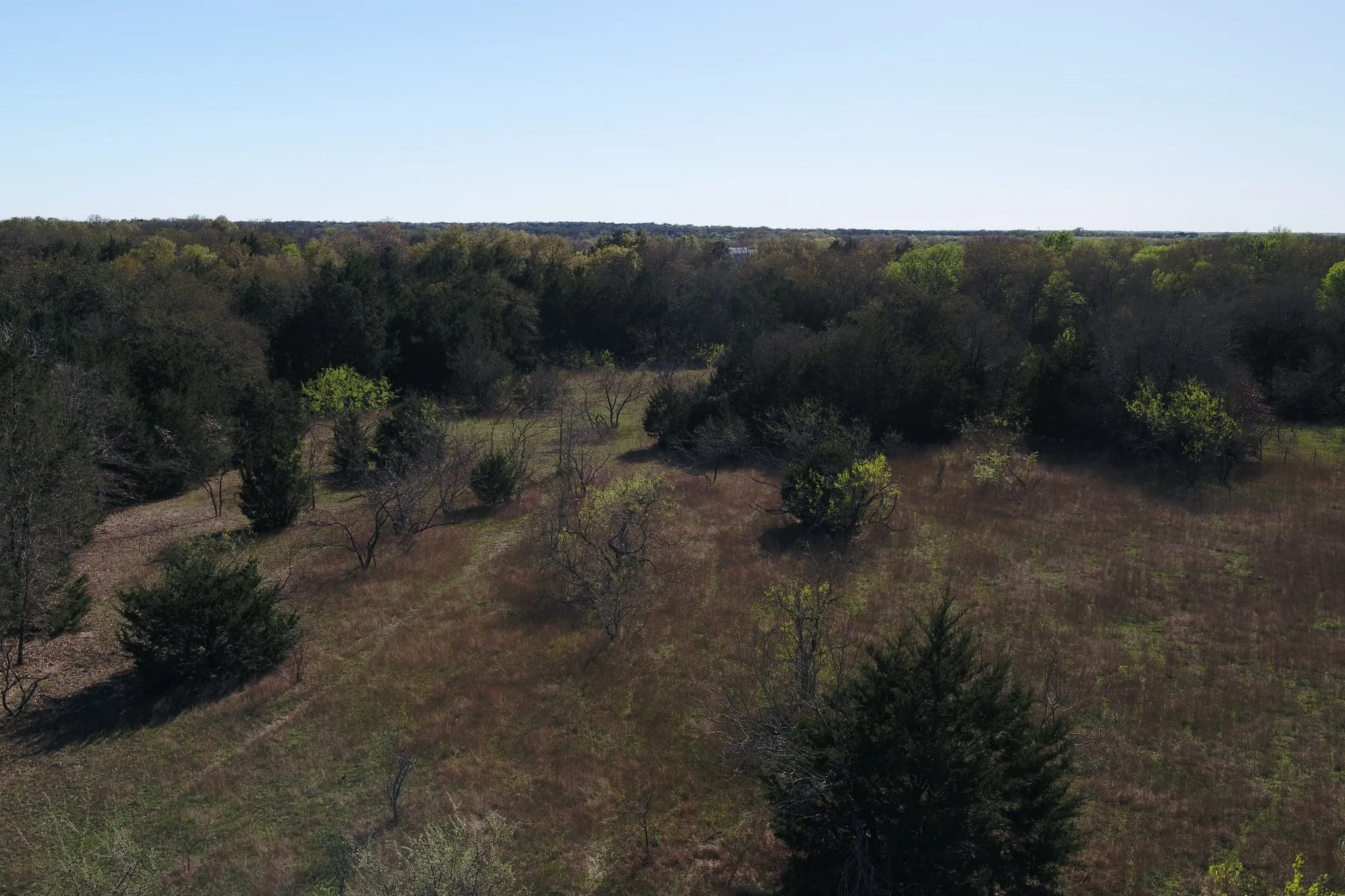 Unimproved Land For Sale in Freestone County , 970 FCR, Wortham, Texas 76693, 0, 0, Garage spaces, 0 Sqft, built in 0, mls#21358991, Real Estate Agent in Wortham, Homes For Sale in Freestone county, Homes For Sale in Wortham, Realtor in Wortham Texas, Real Estate Brokerage Independent Realty Texas, Luminita Cordes Realtor