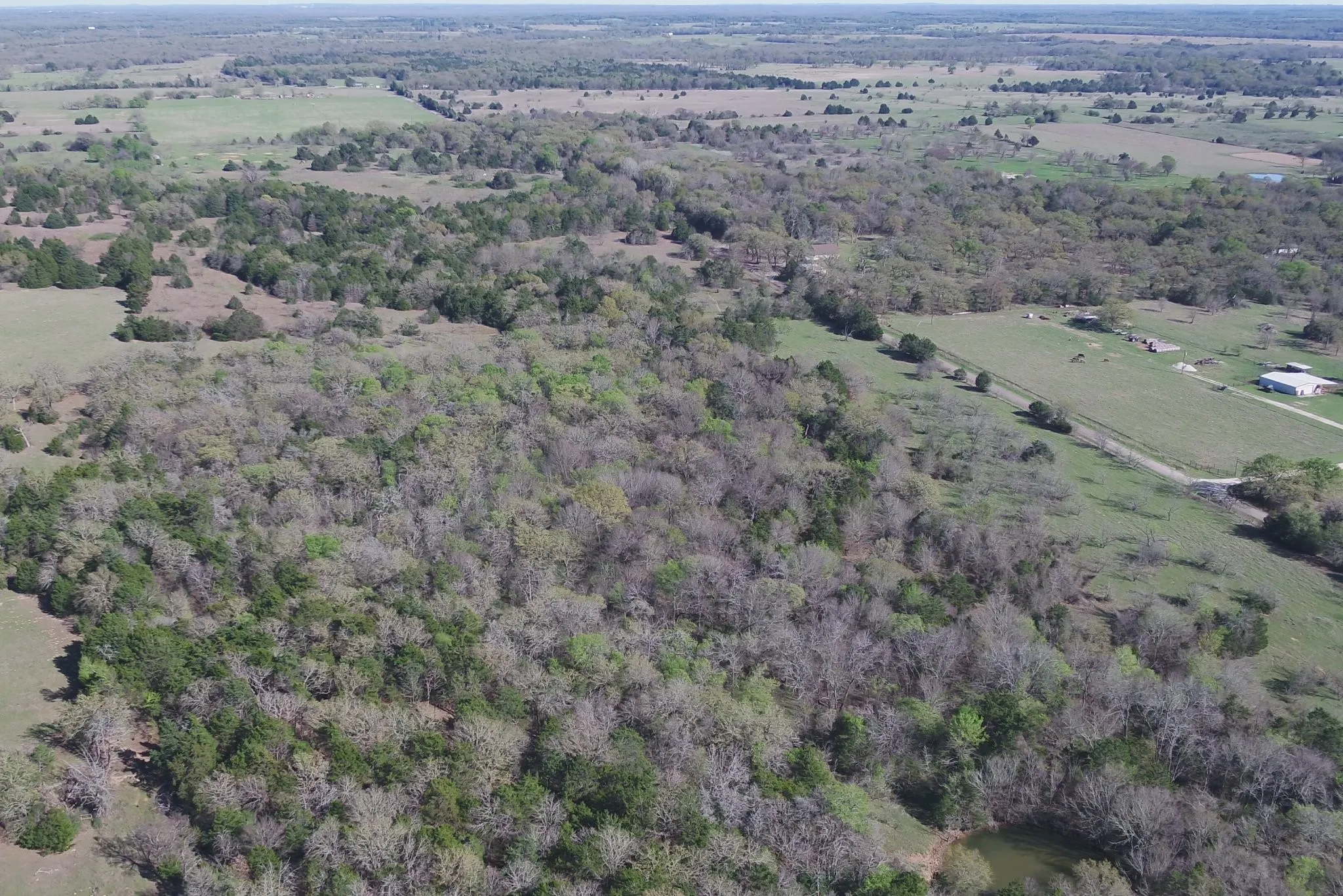 Unimproved Land For Sale in Freestone County , 970 FCR, Wortham, Texas 76693, 0, 0, Garage spaces, 0 Sqft, built in 0, mls#21358991, Real Estate Agent in Wortham, Homes For Sale in Freestone county, Homes For Sale in Wortham, Realtor in Wortham Texas, Real Estate Brokerage Independent Realty Texas, Luminita Cordes Realtor