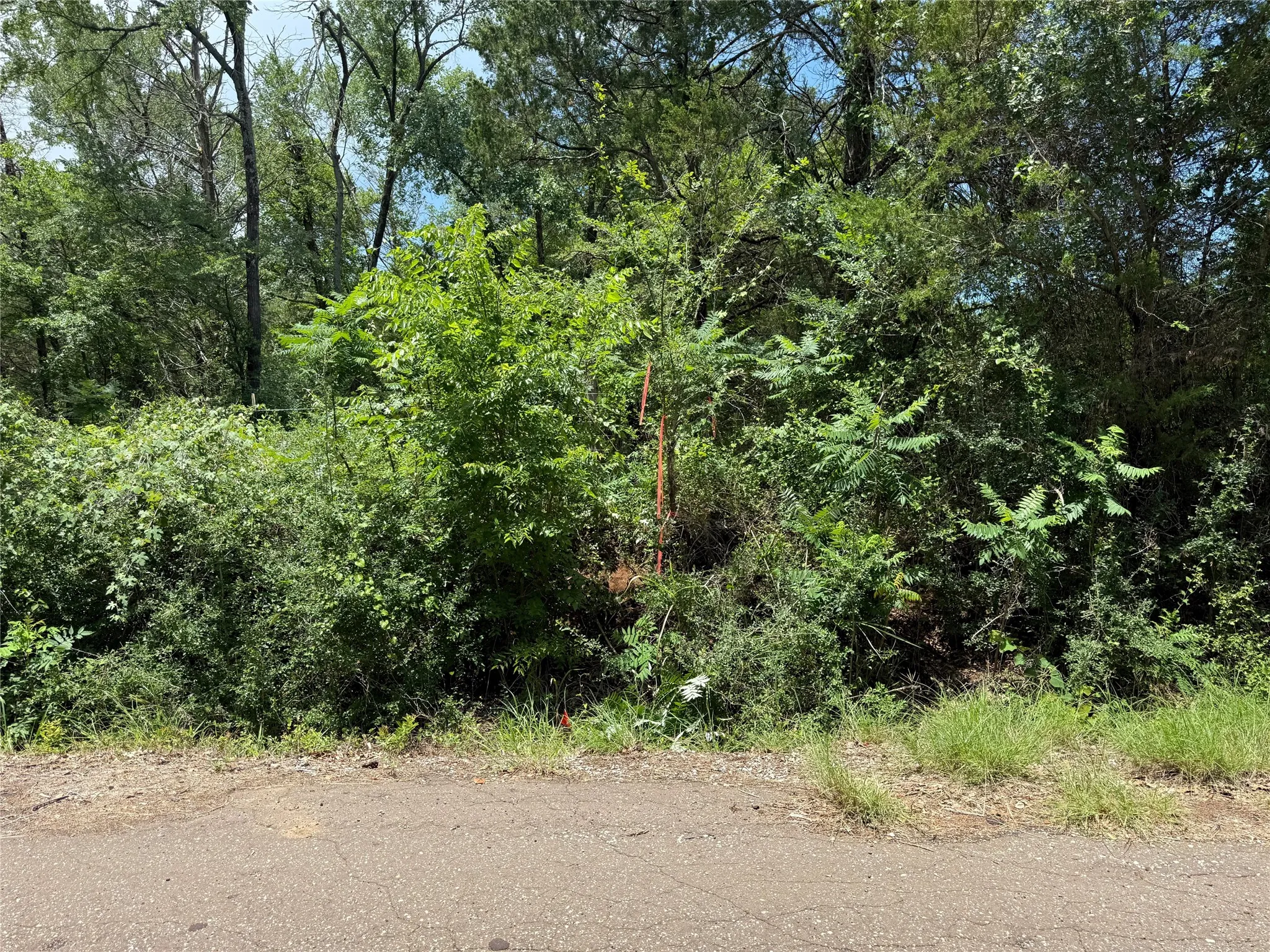 SW Corner boundary