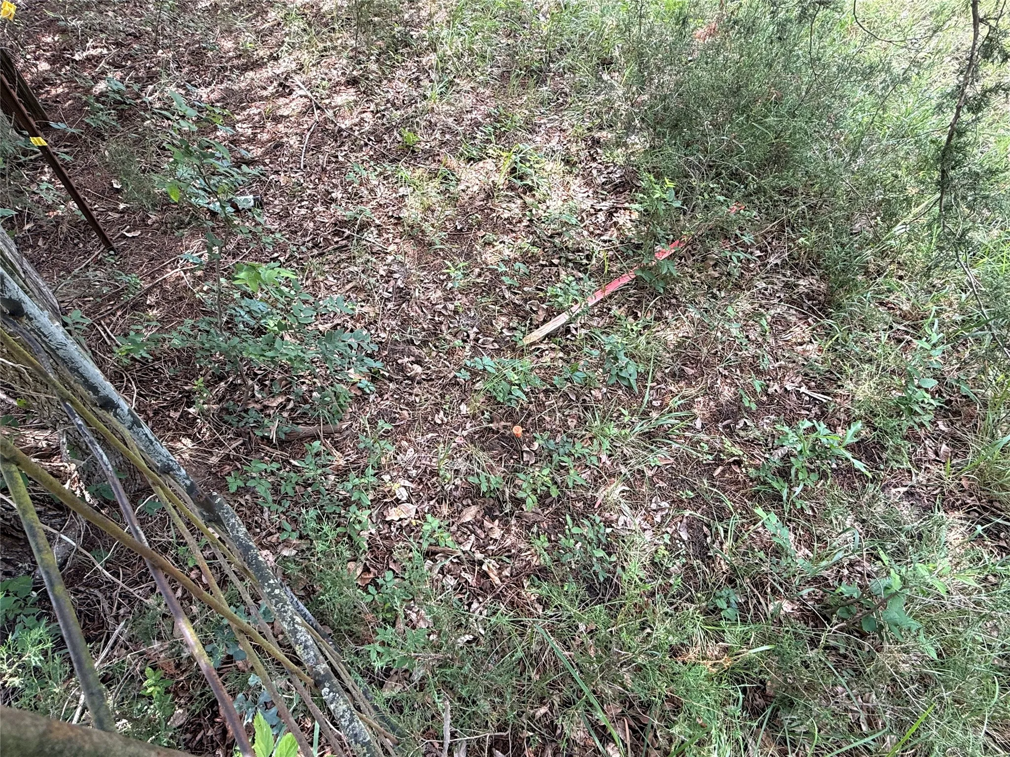 SE corner boundary survey pin