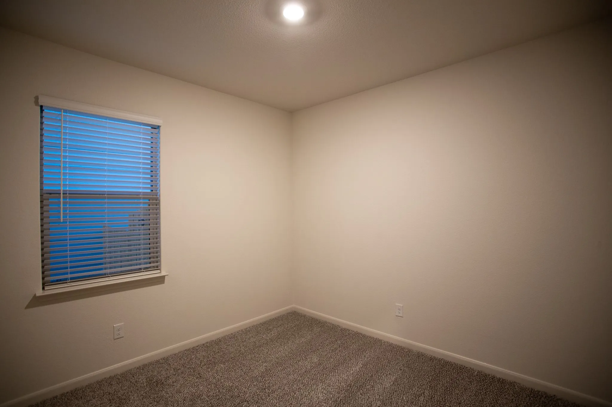 Window with white blinds, neutral wall paint, and gray carpet flooring