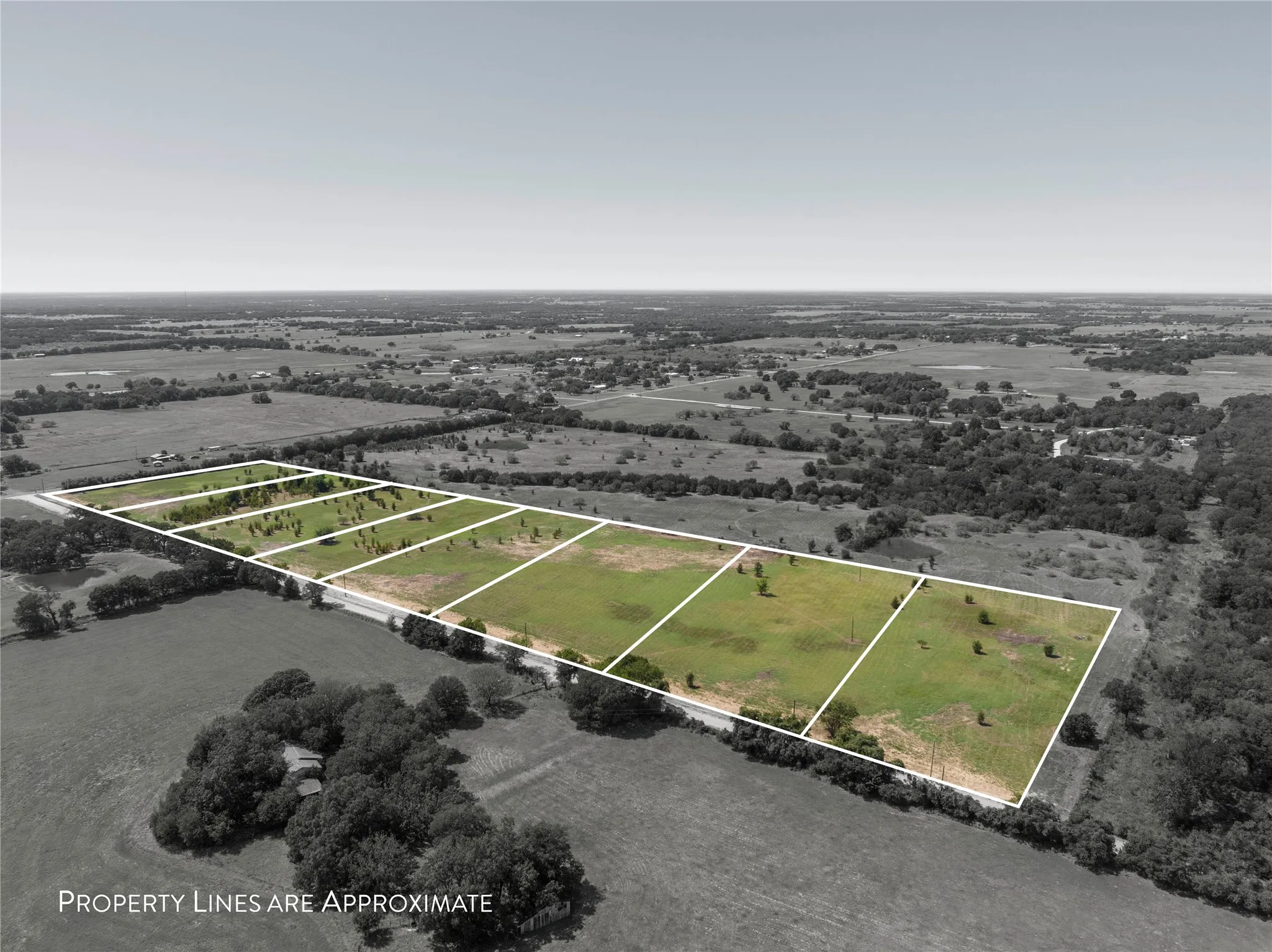 Expansive land parcels with natural clearings and scattered trees
