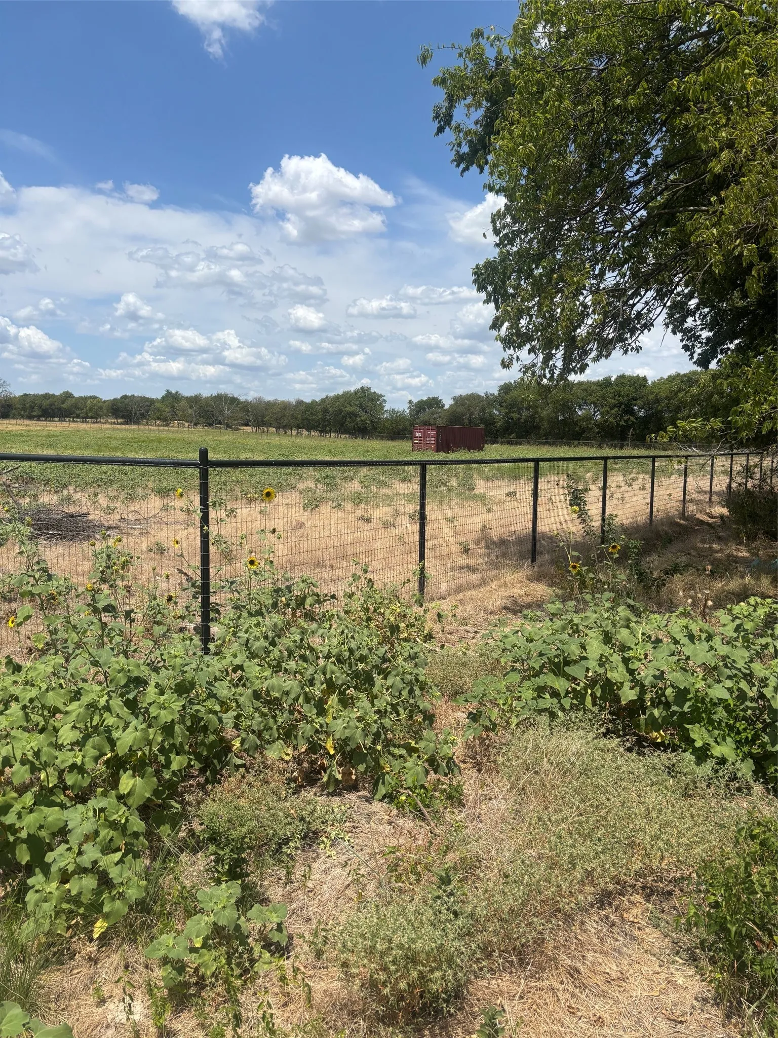 Unimproved Land For Sale in Denton County , 7709 North Hickory, Krum, Texas 76249, 0, 0, Garage spaces, 0 Sqft, built in 0, mls#21359072, Real Estate Agent in Krum, Homes For Sale in Denton county, Homes For Sale in Krum, Realtor in Krum Texas, Real Estate Brokerage Independent Realty Texas, Luminita Cordes Realtor