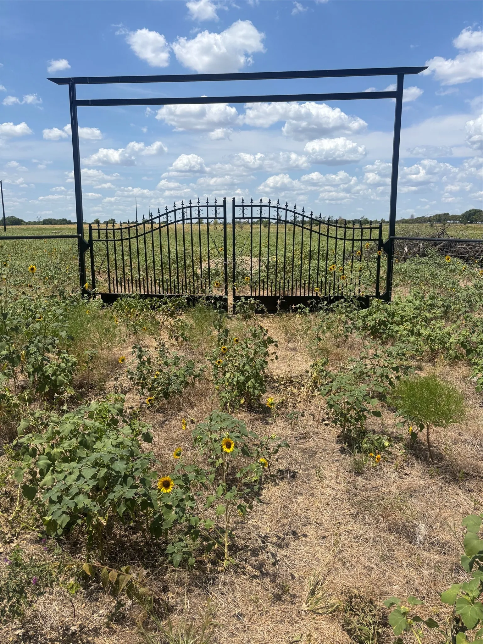 Unimproved Land For Sale in Denton County , 7709 North Hickory, Krum, Texas 76249, 0, 0, Garage spaces, 0 Sqft, built in 0, mls#21359072, Real Estate Agent in Krum, Homes For Sale in Denton county, Homes For Sale in Krum, Realtor in Krum Texas, Real Estate Brokerage Independent Realty Texas, Luminita Cordes Realtor
