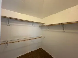 Primary Wraparound Closet