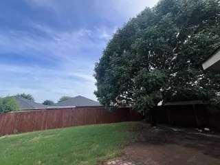 Back Yard with Shade Tree and Privacy Fence